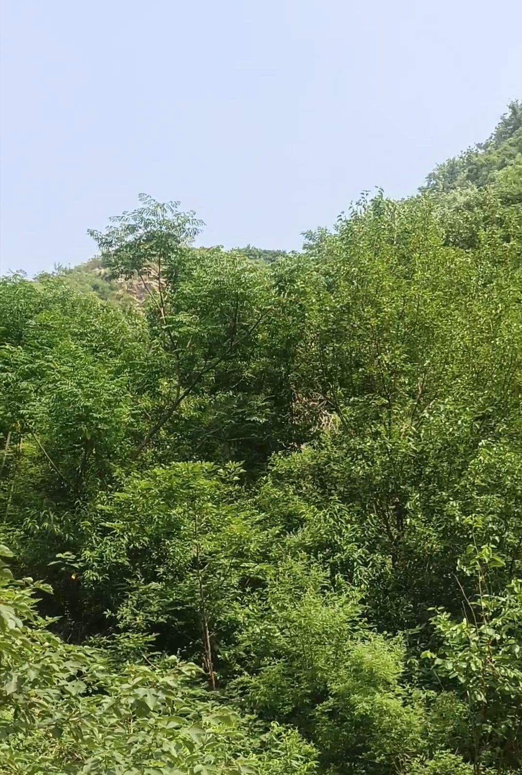 黑龙潭风景区旅行图片 2