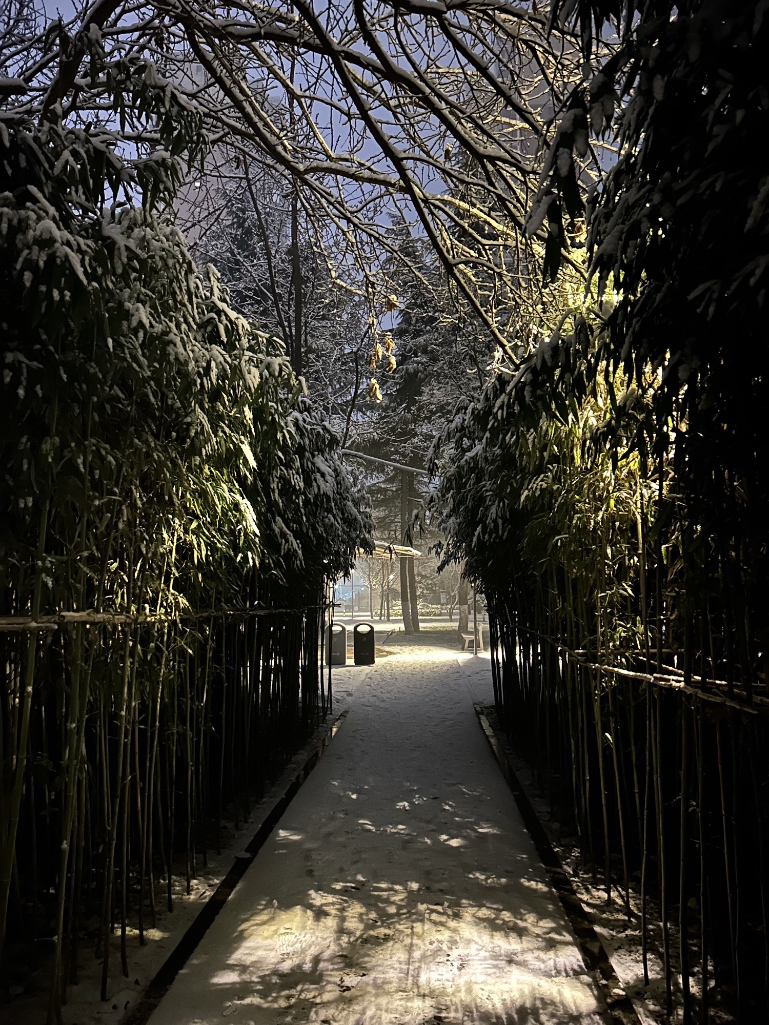 铝城公园旅行图片 2