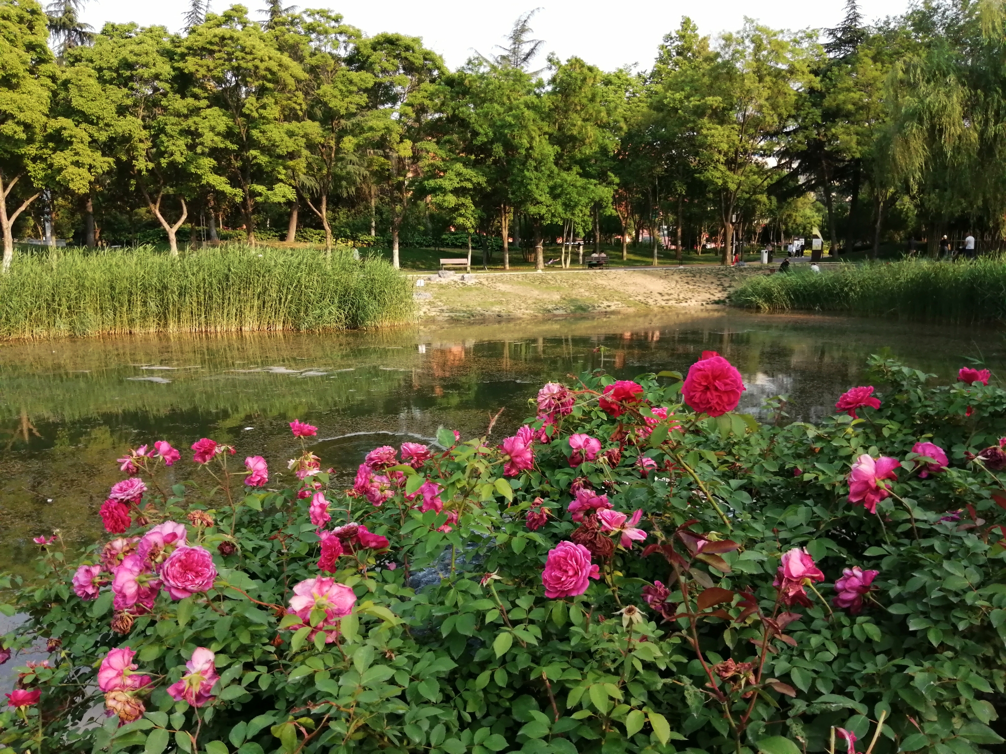 铝城公园旅行图片 1