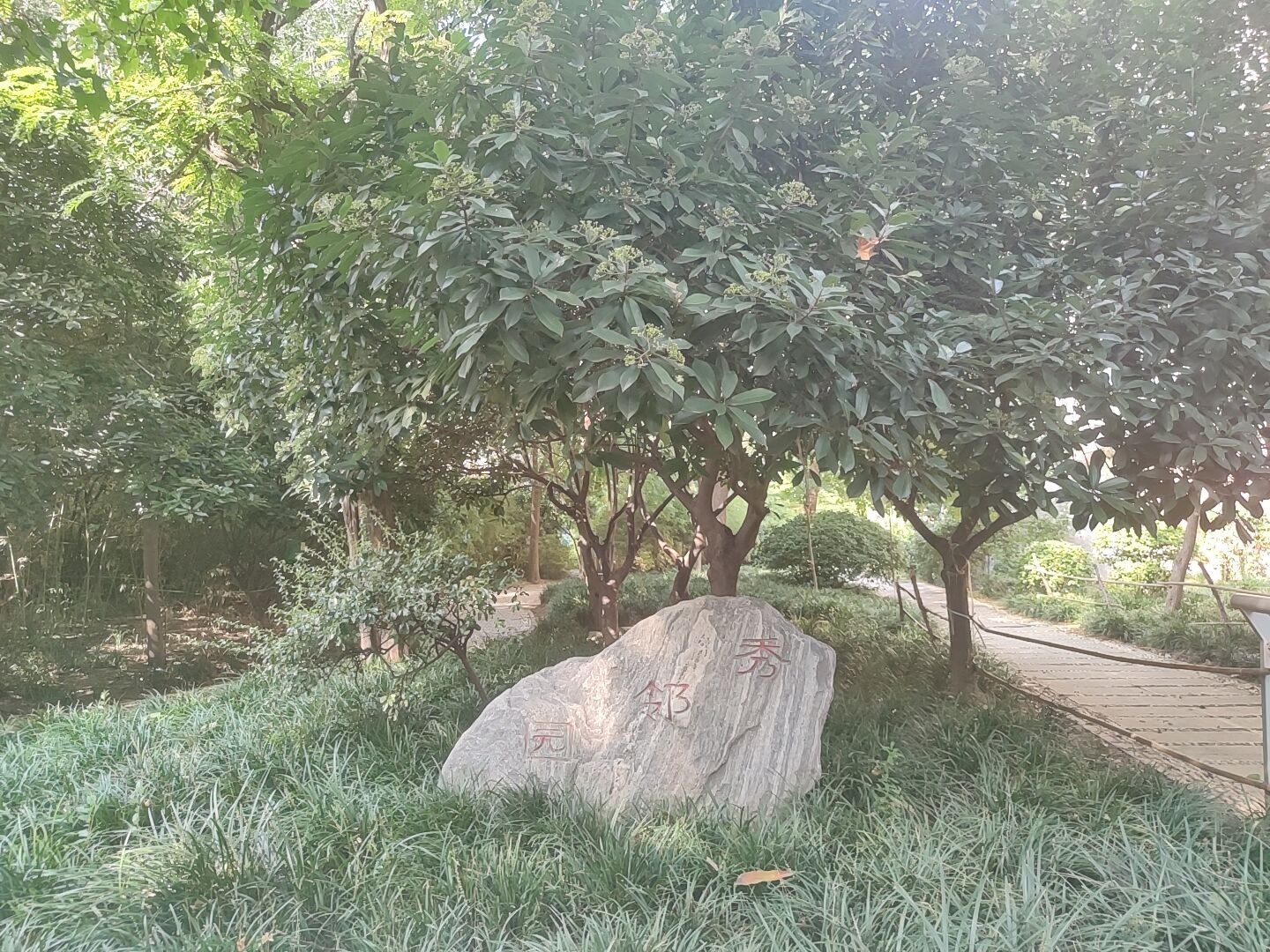 凝香园旅行图片 3