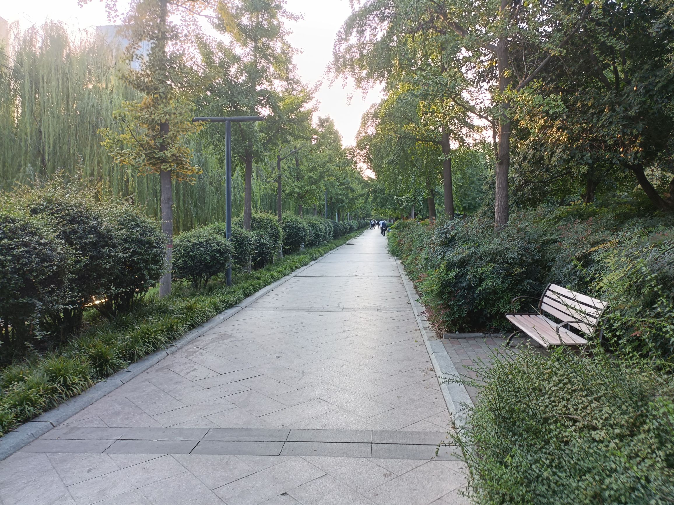 东风渠滨河公园(东风路)旅行图片 2