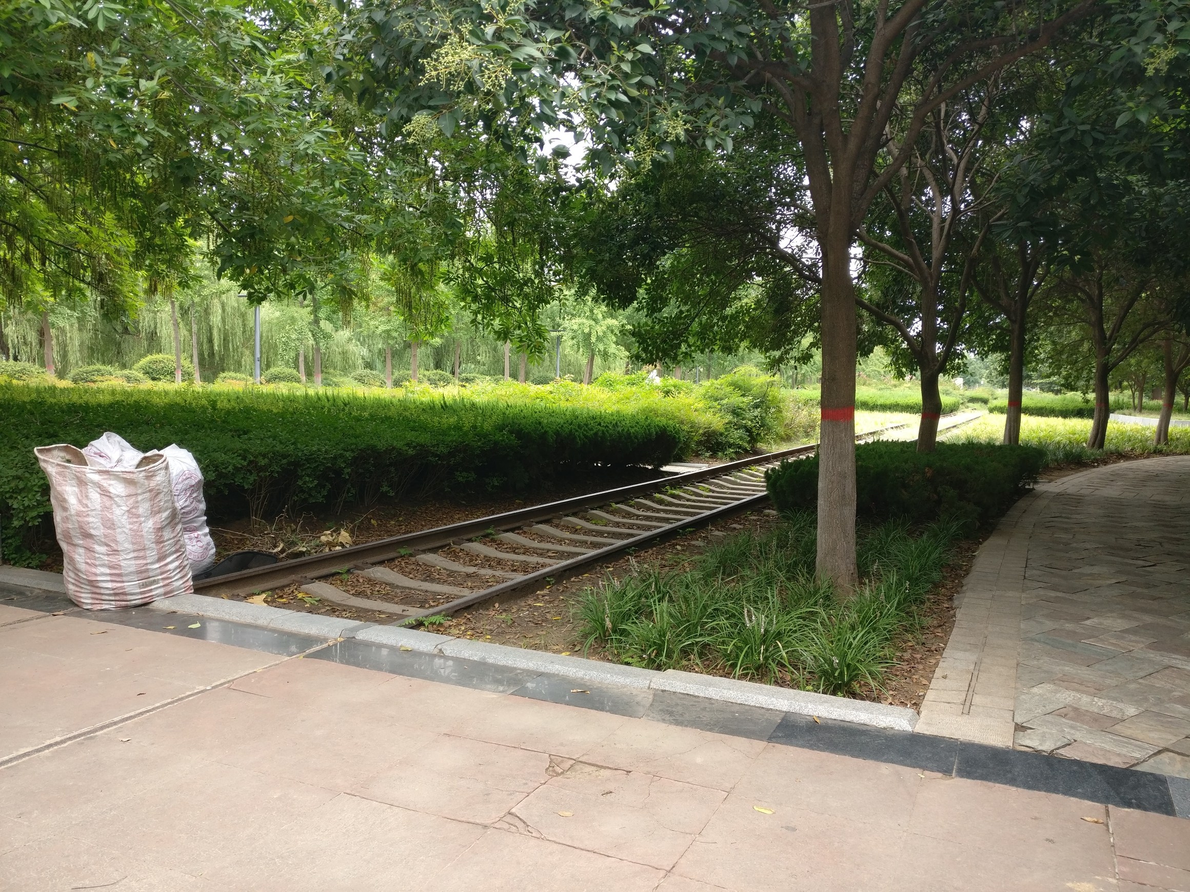 东风渠滨河公园(东风路)旅行图片 3