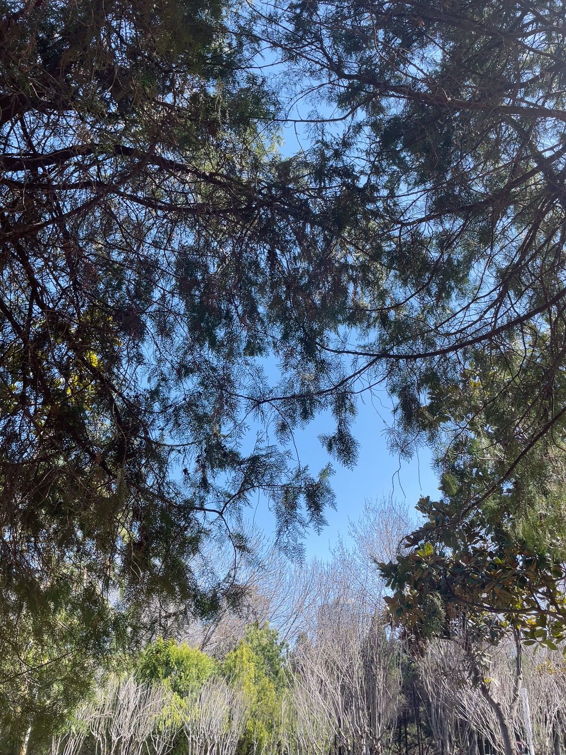 郑州之林旅行图片 1
