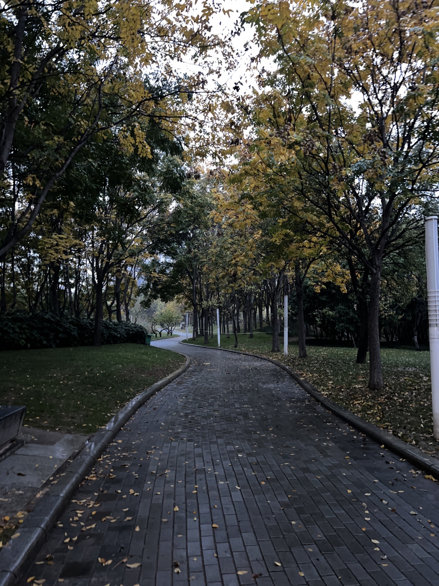 郑州之林旅行图片 2