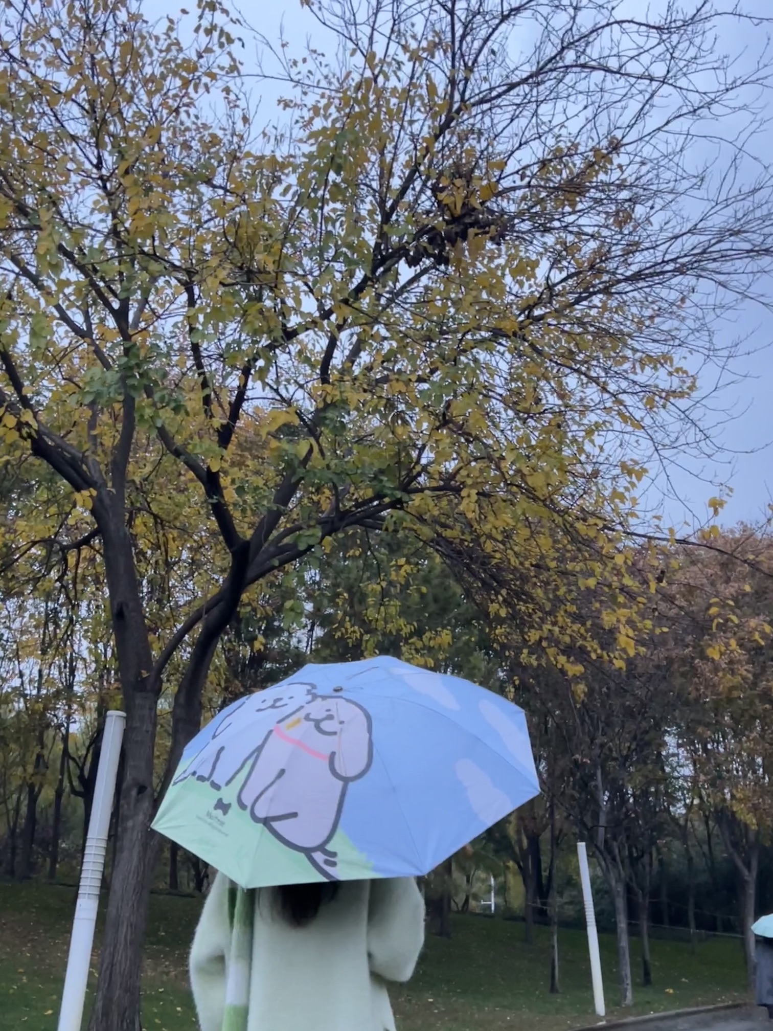 郑州之林旅行图片 1
