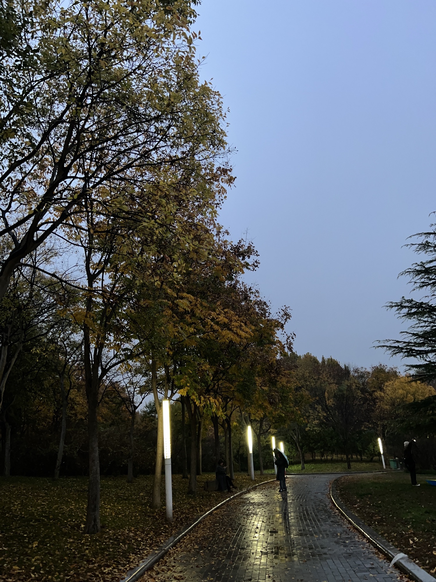 郑州之林旅行图片 3