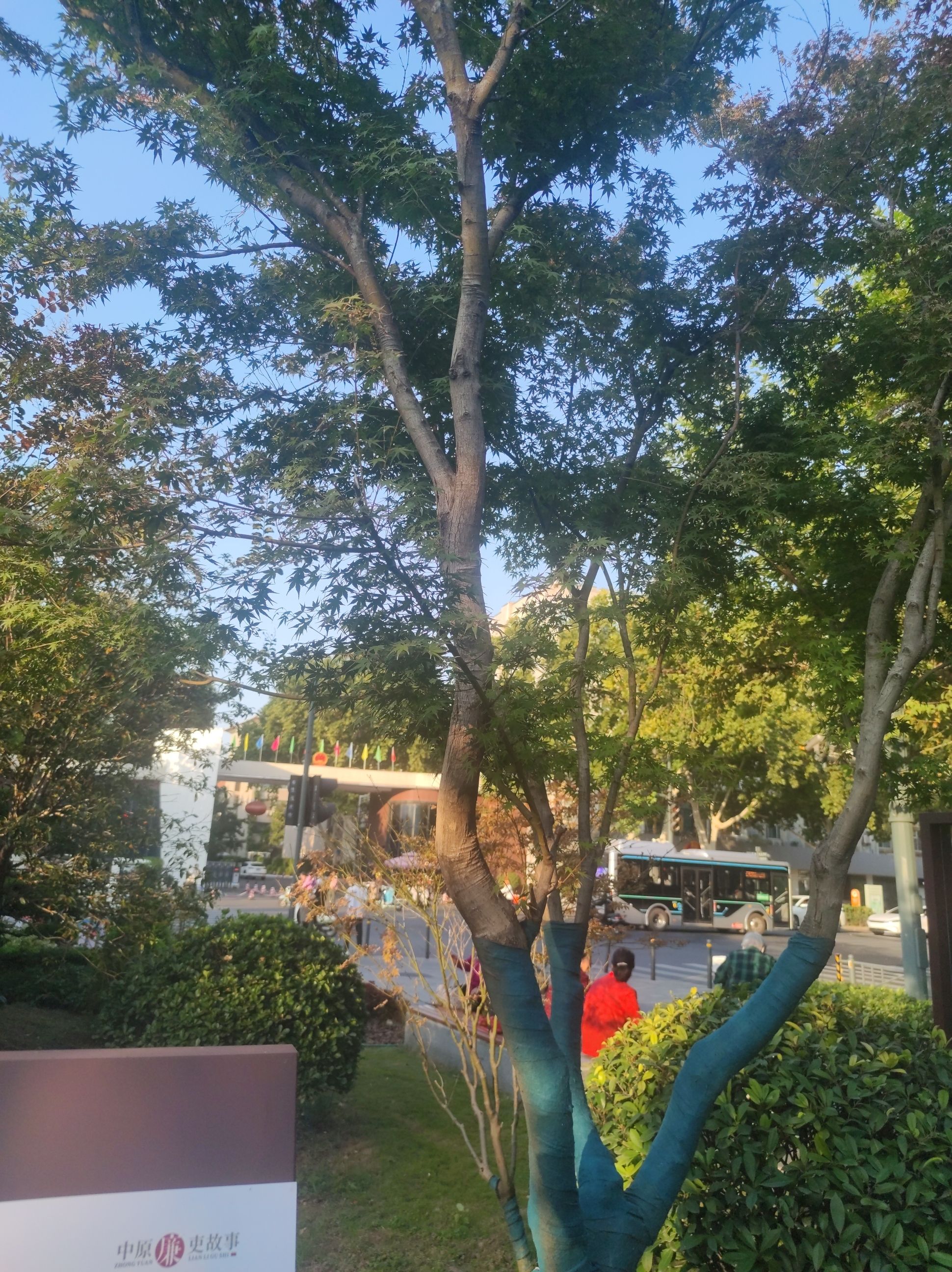 管城区委公园旅行图片 2