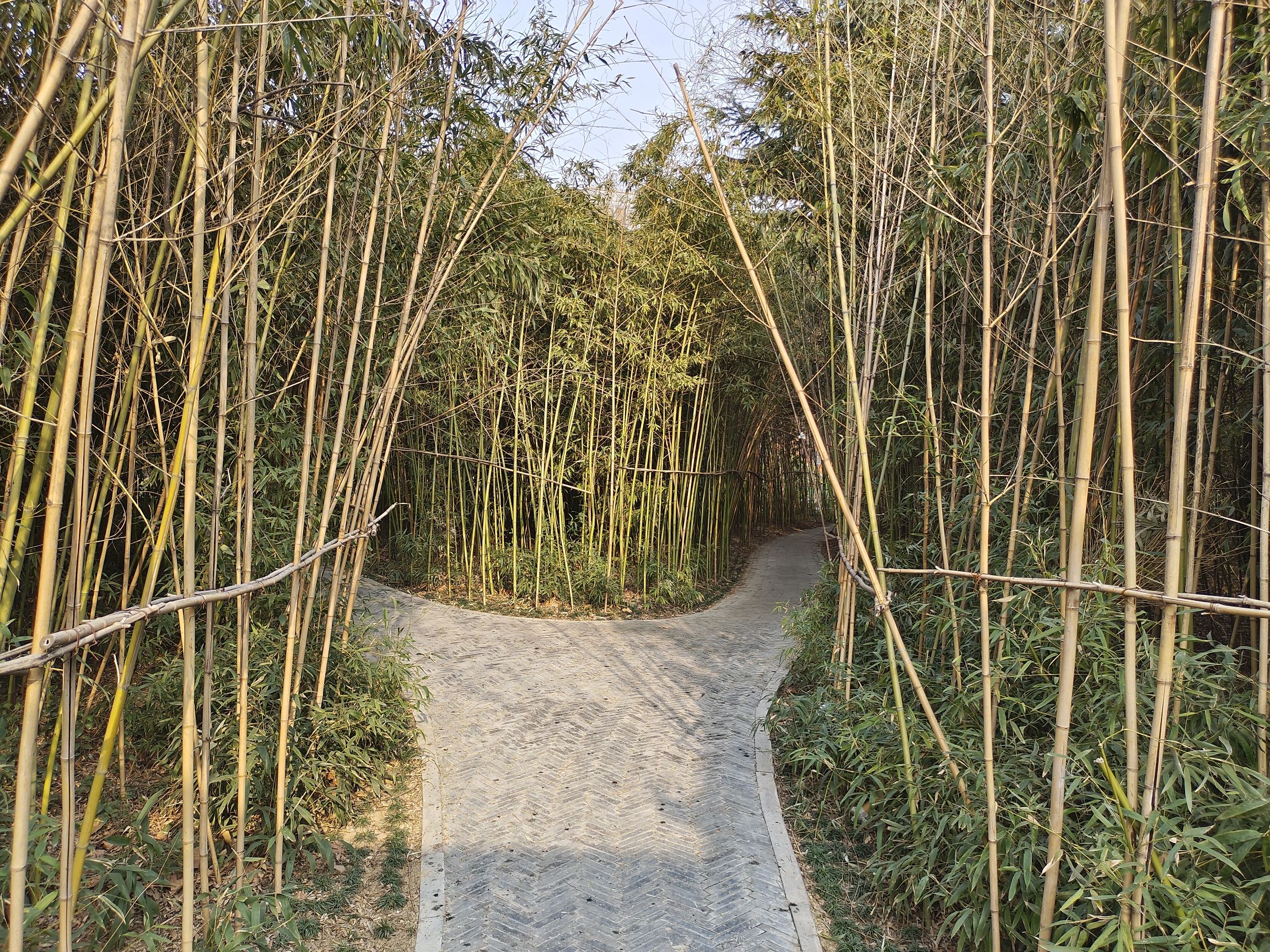 郑州绿城公园