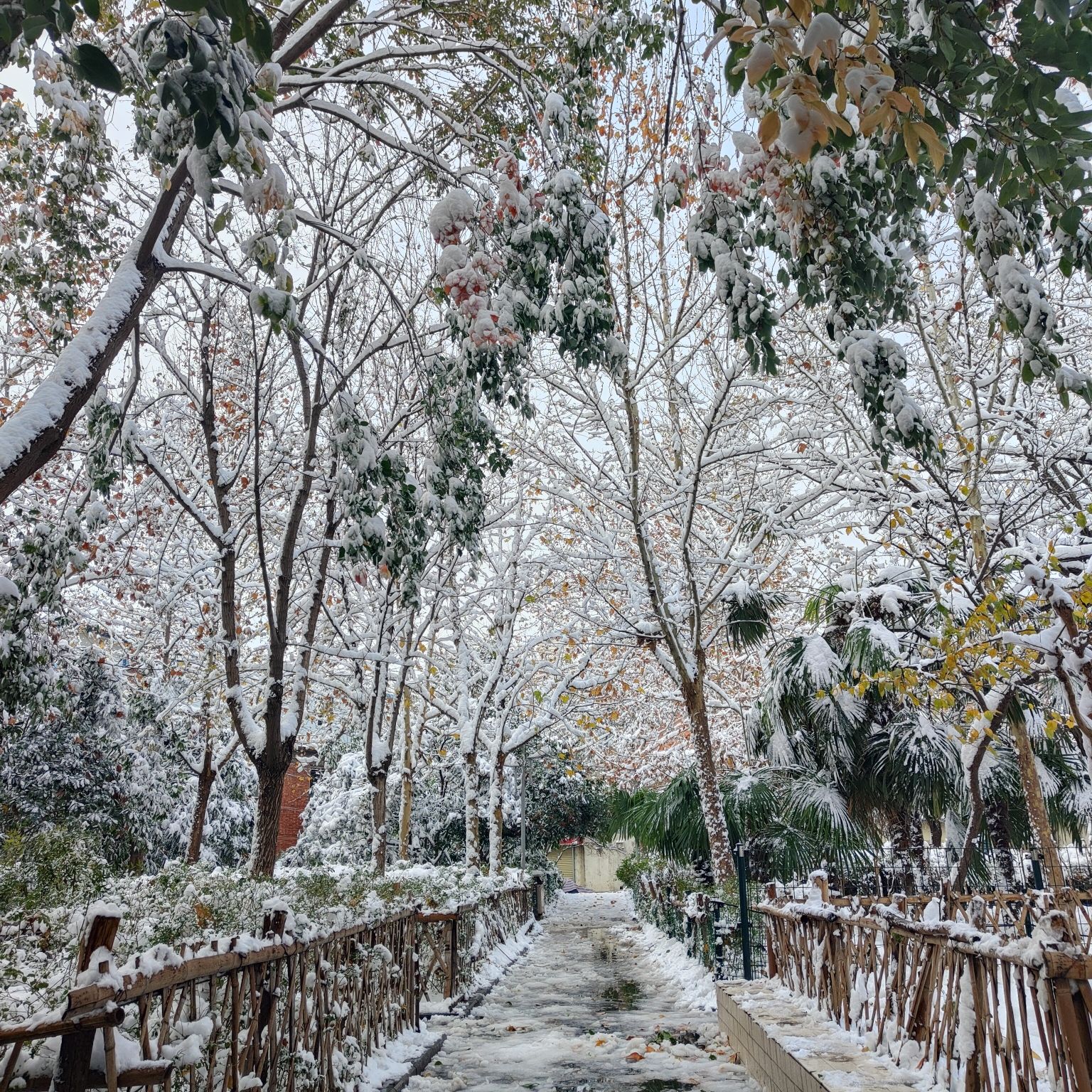 涵秀园旅行图片 1