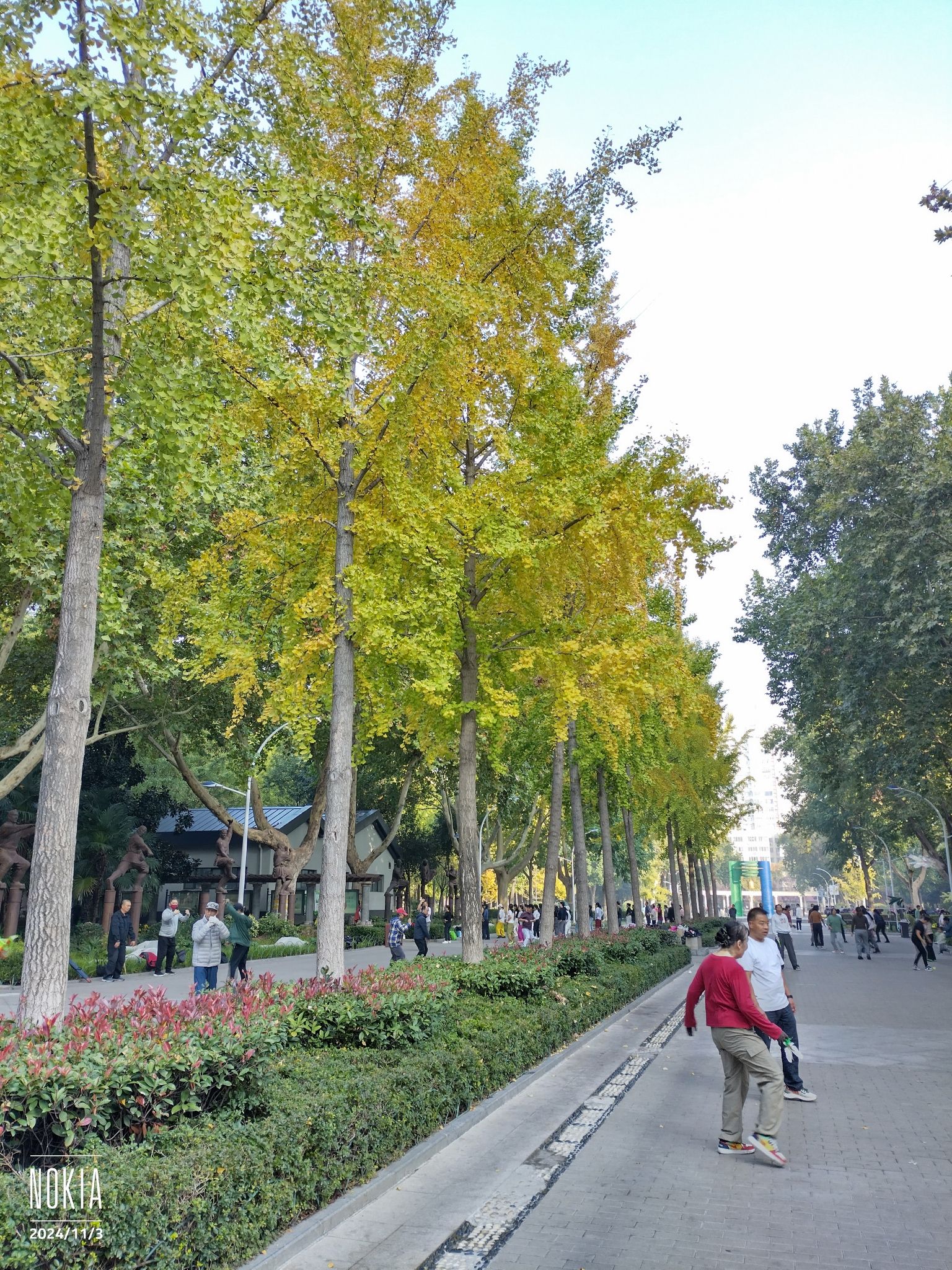 文博公园旅行图片 3