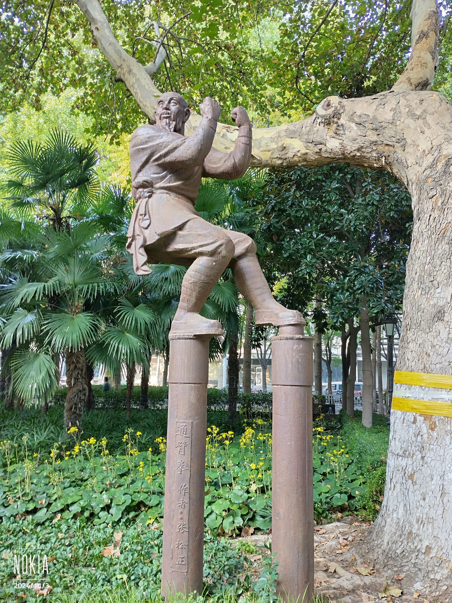文博公园旅行图片