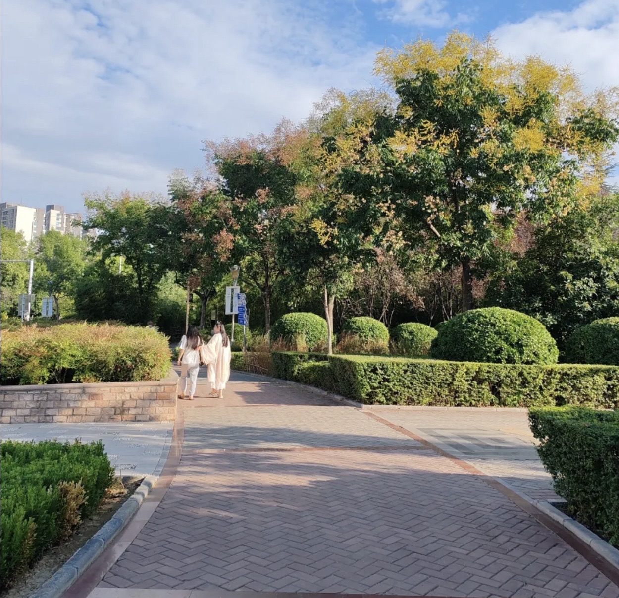 文化公园旅行图片 1