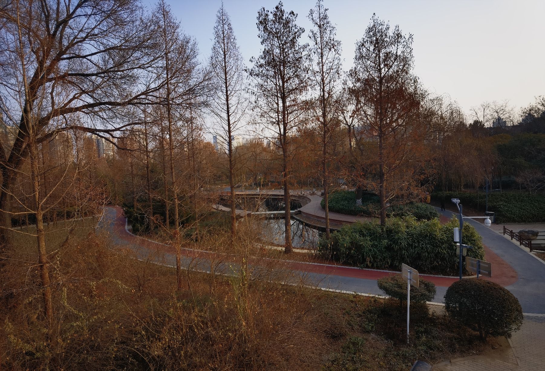 文化公园旅行图片 3