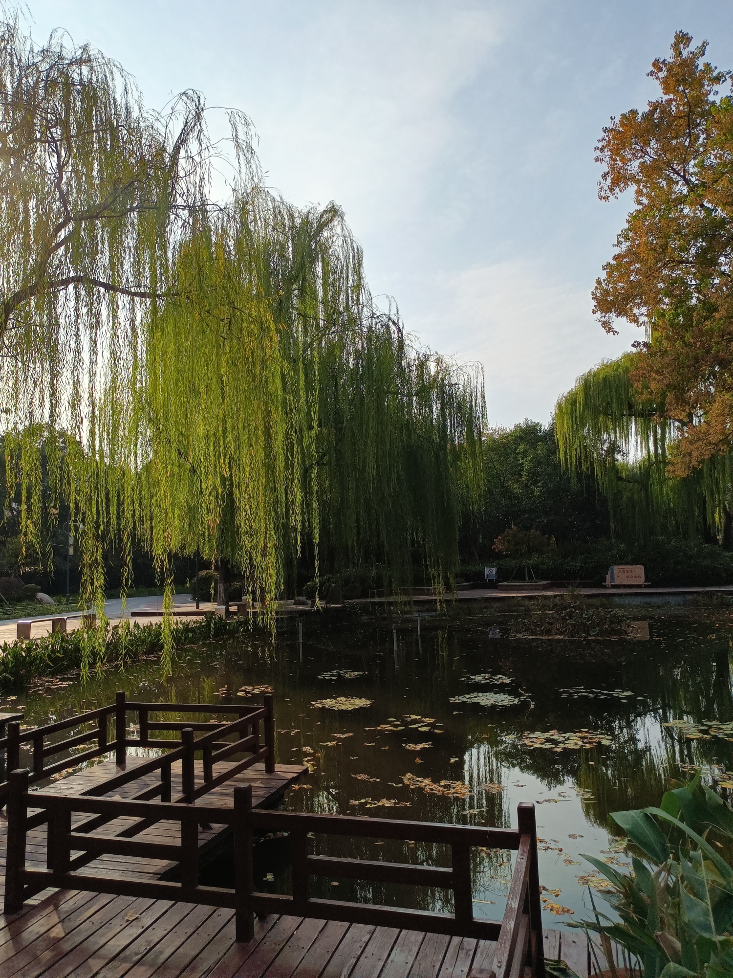 文化公园旅行图片 3