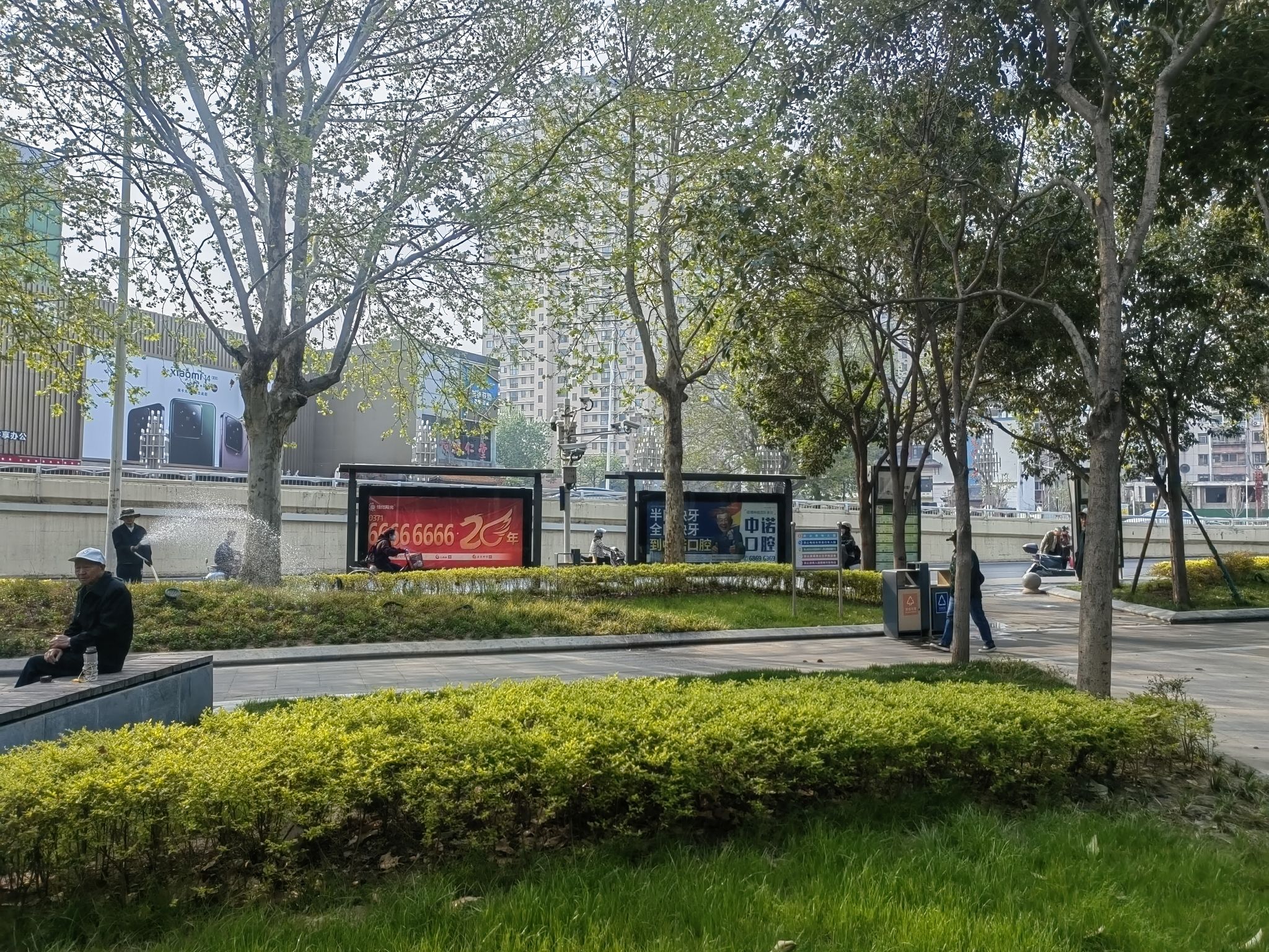 紫荆山公园旅行图片 1