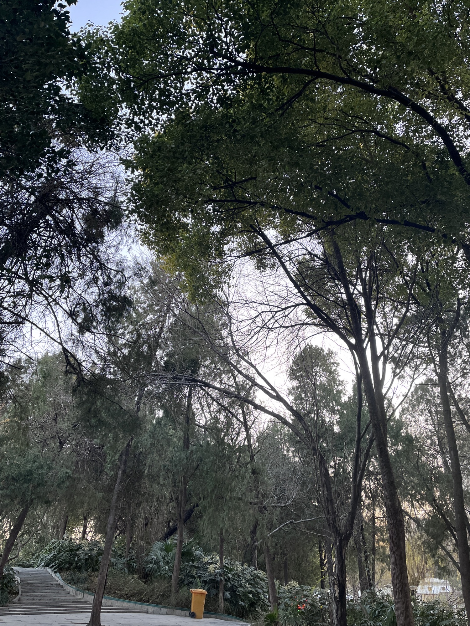 紫荆山公园旅行图片 3