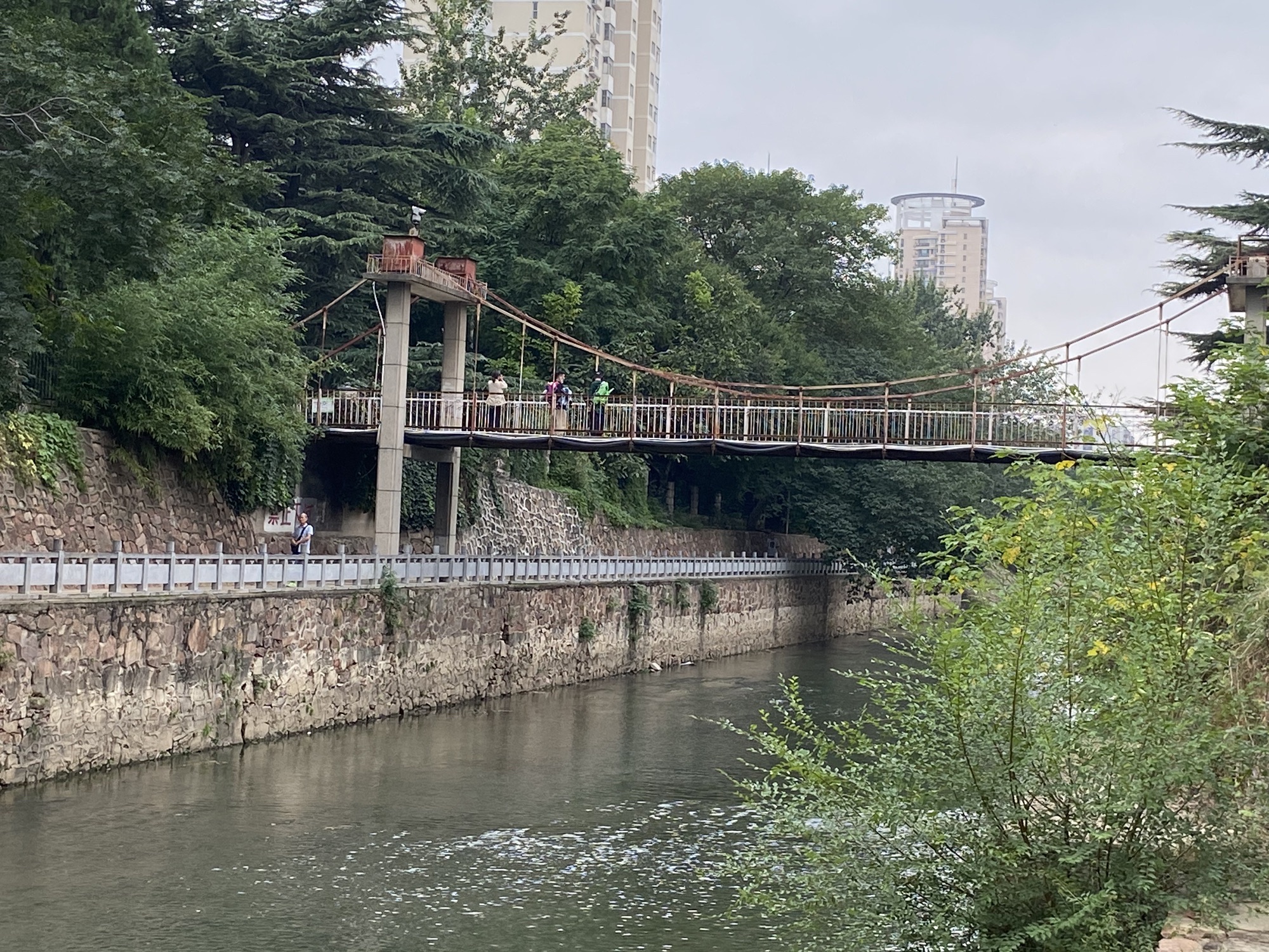 紫荆山公园旅行图片 3