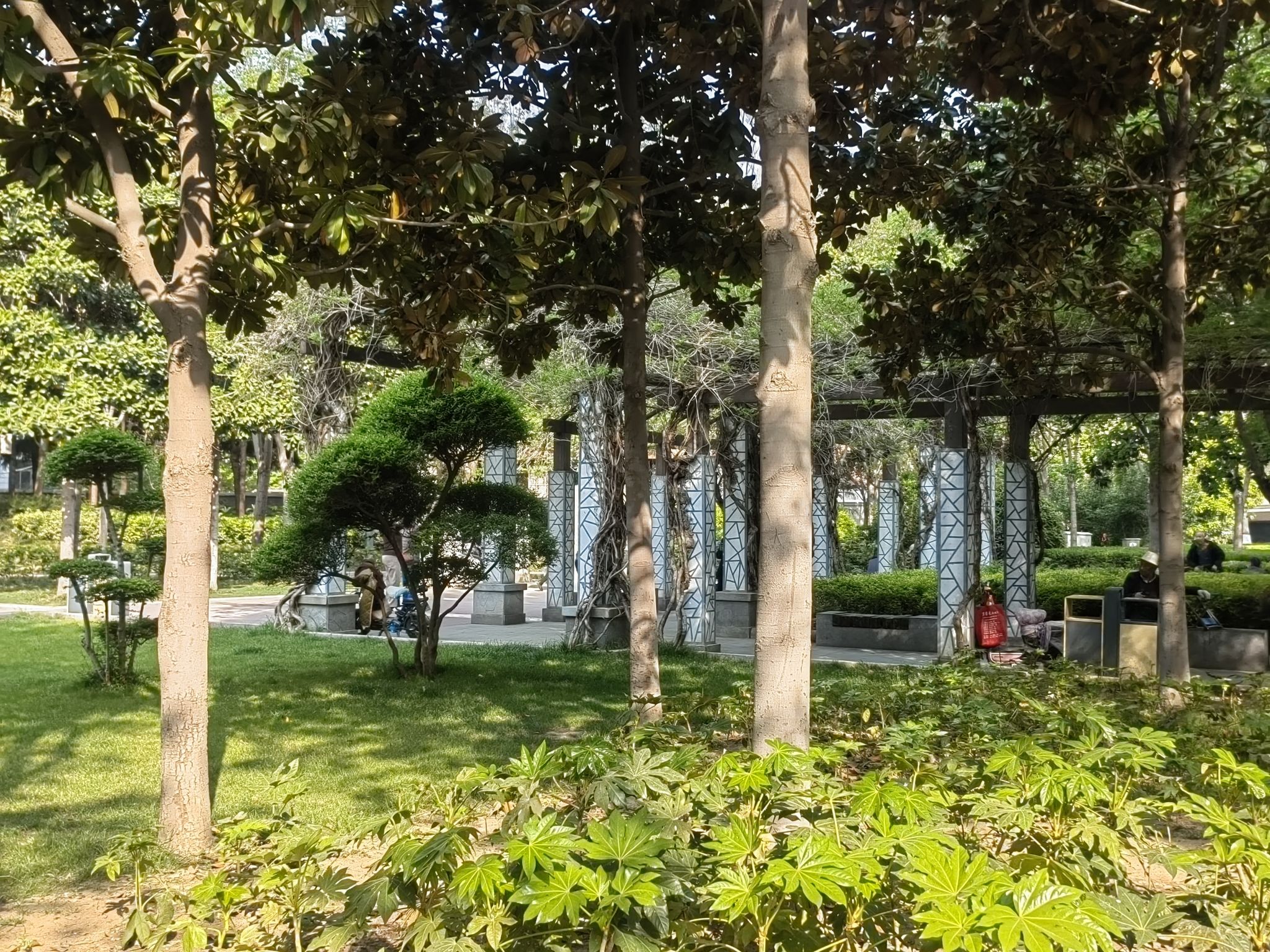 紫荆山公园旅行图片 3