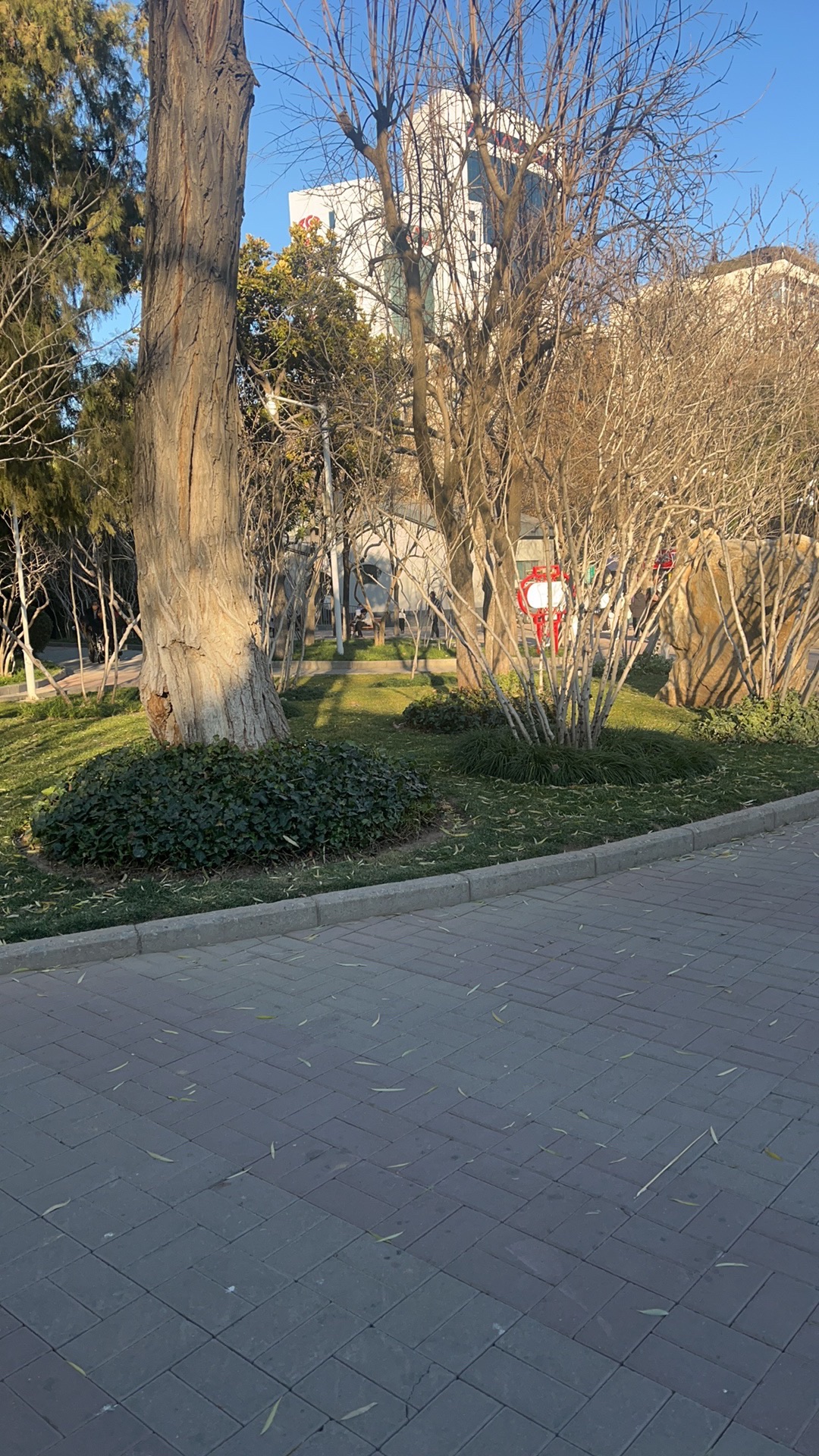 紫荆山公园旅行图片 2