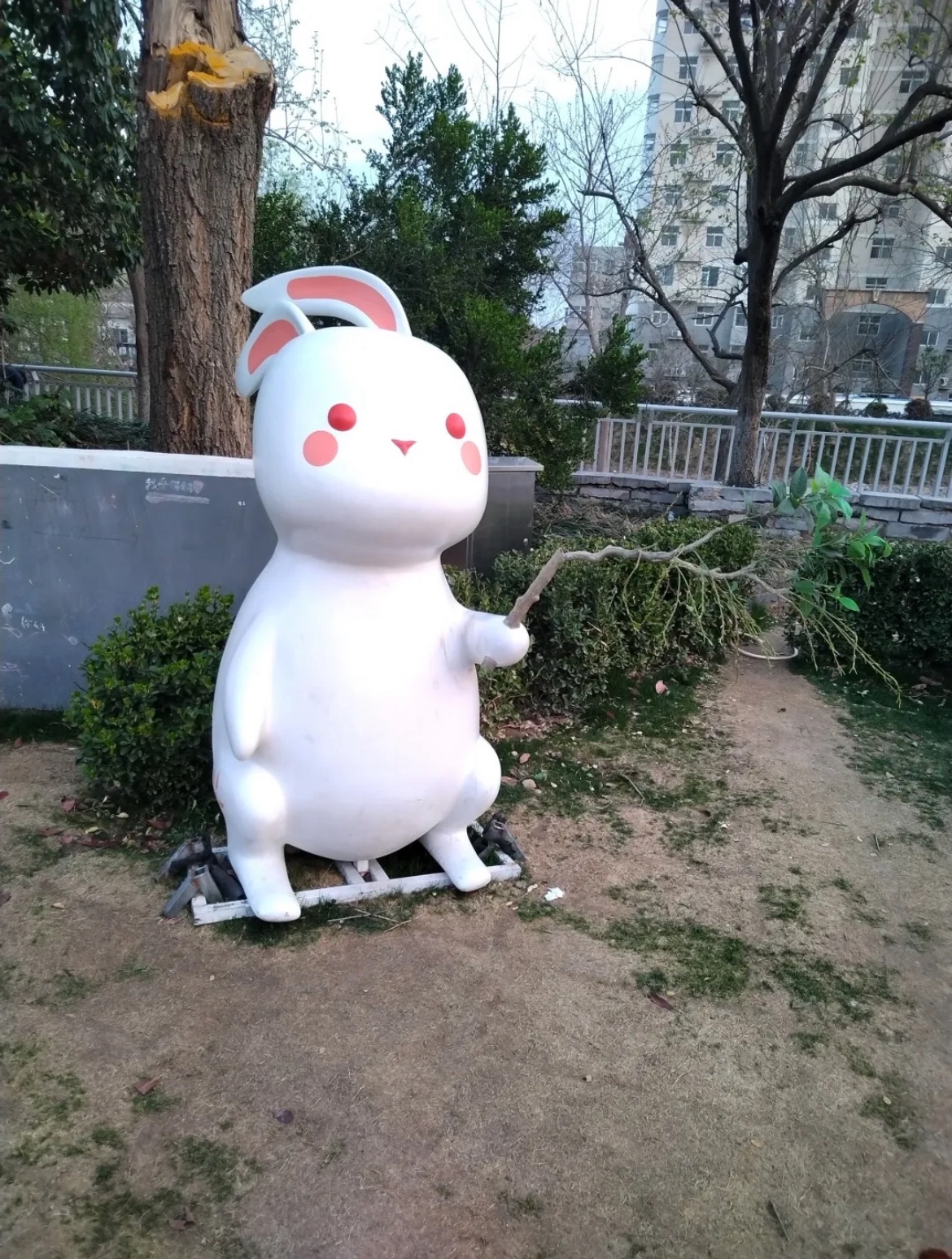 紫荆山公园旅行图片 3