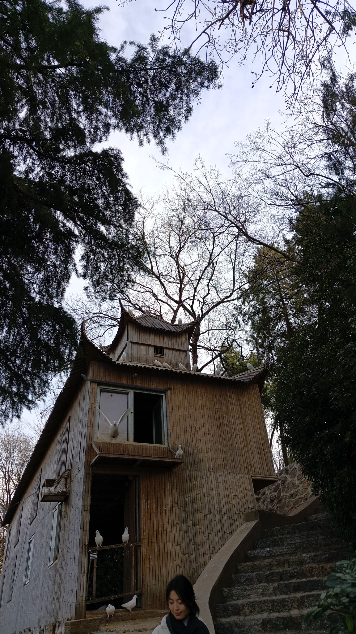 紫荆山公园旅行图片 3