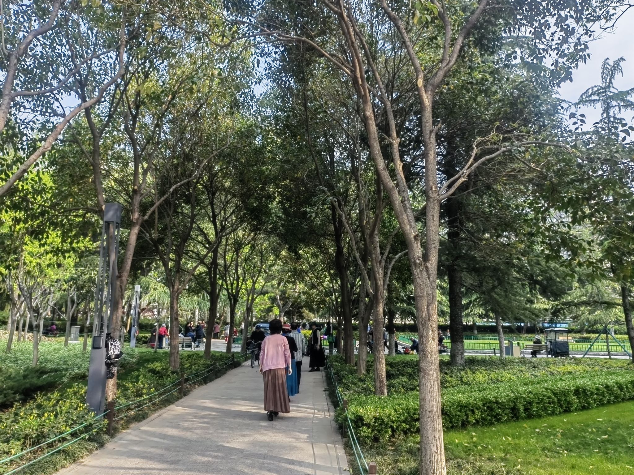 紫荆山公园旅行图片 2