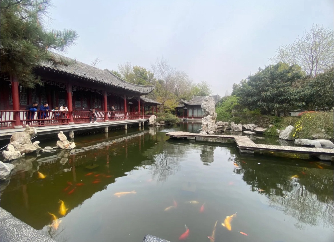 紫荆山公园旅行图片 2