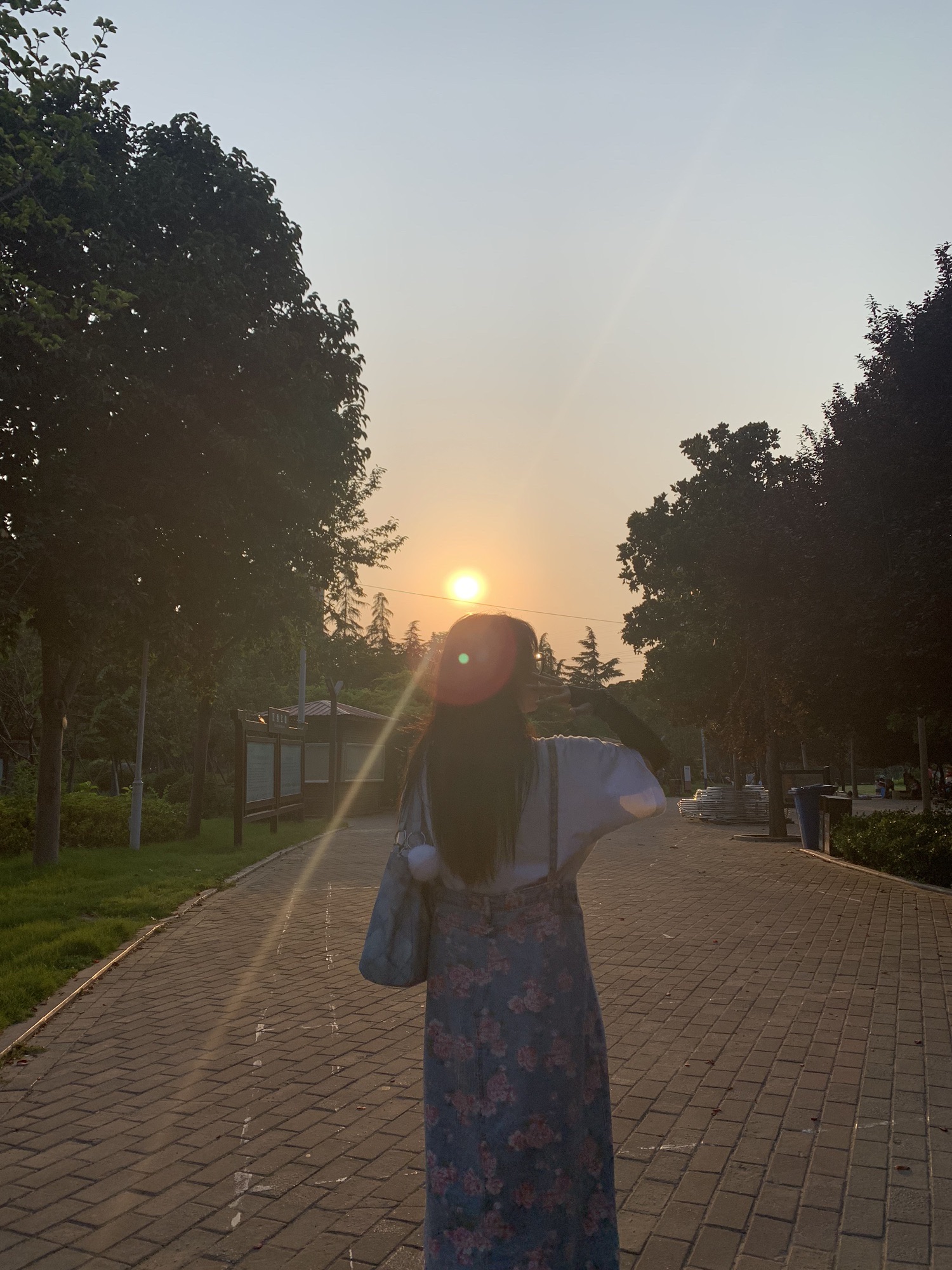 双秀公园旅行图片 1
