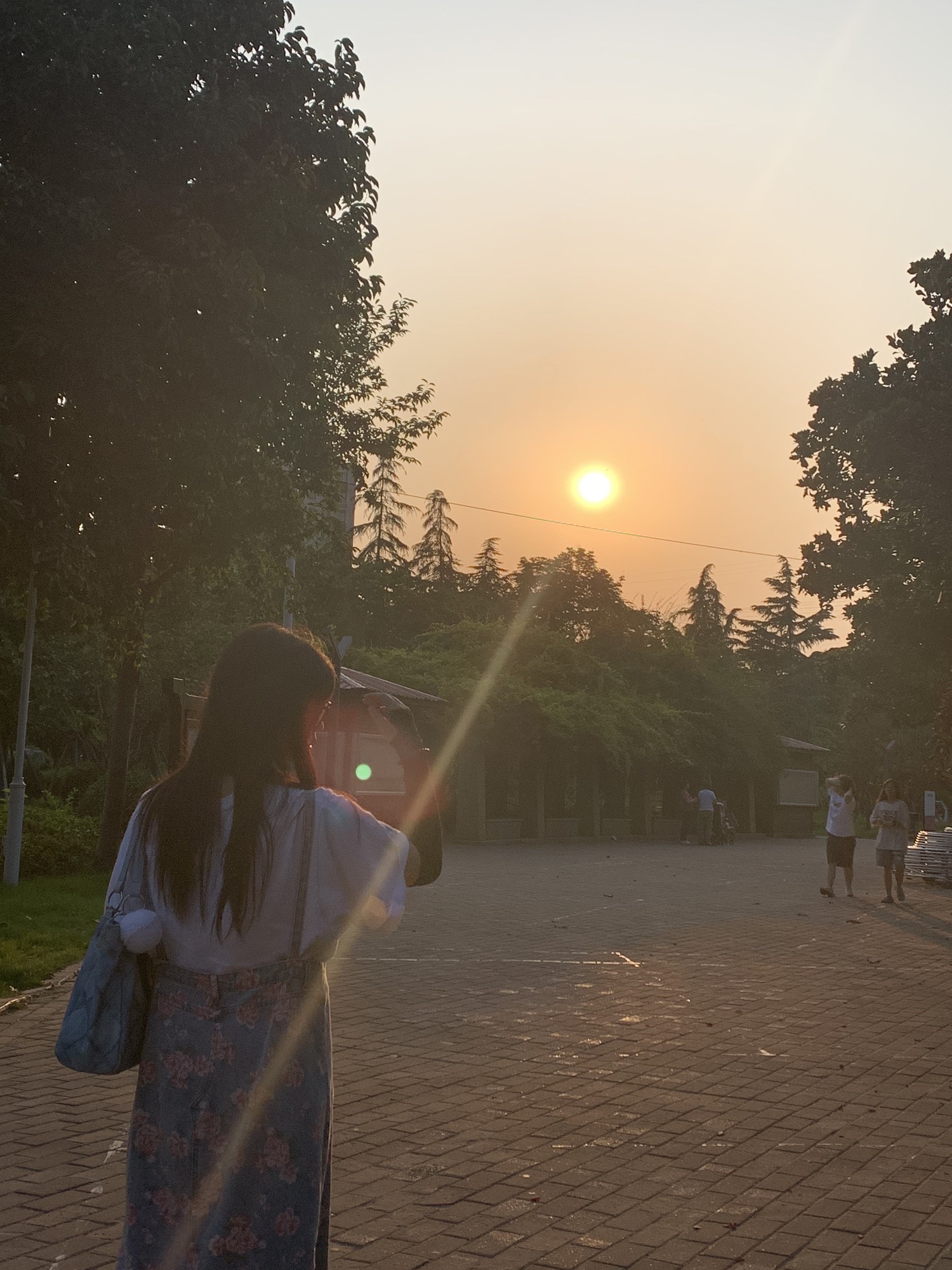 双秀公园旅行图片 2