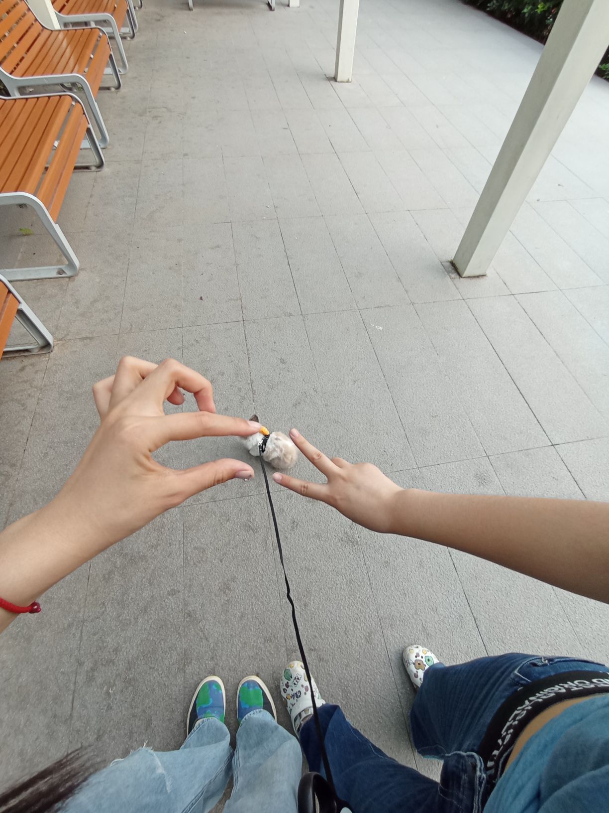 双秀公园旅行图片 2