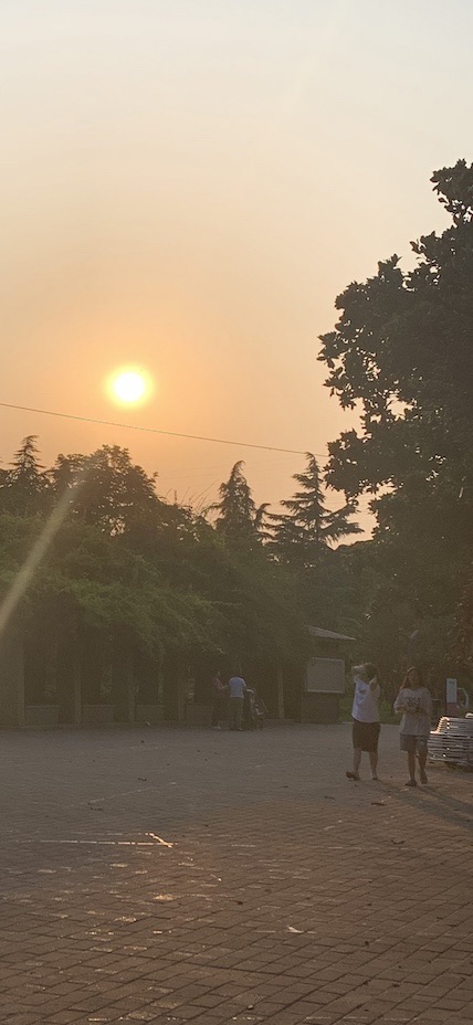 双秀公园旅行图片 3