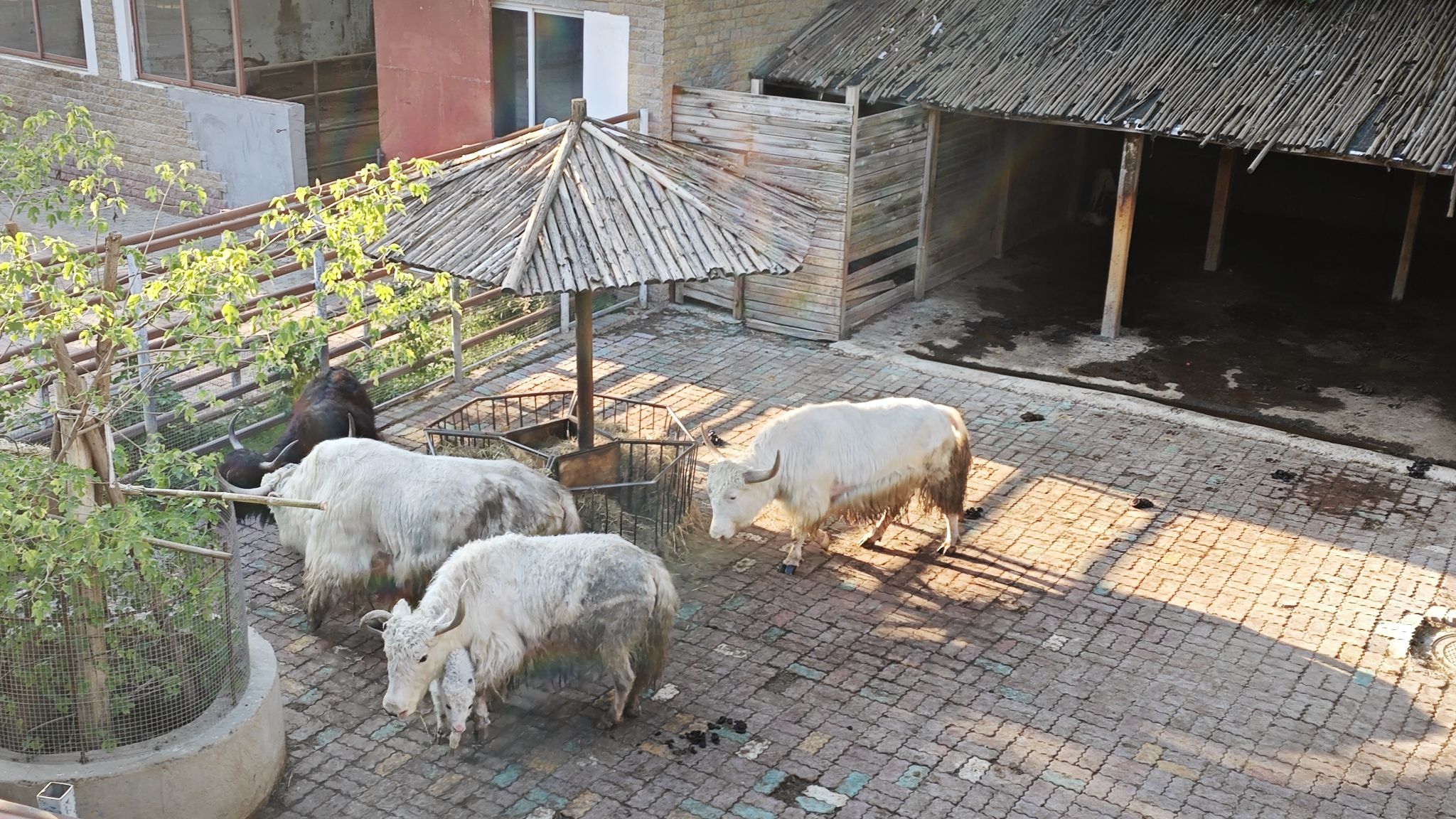郑州市动物园旅行图片 3