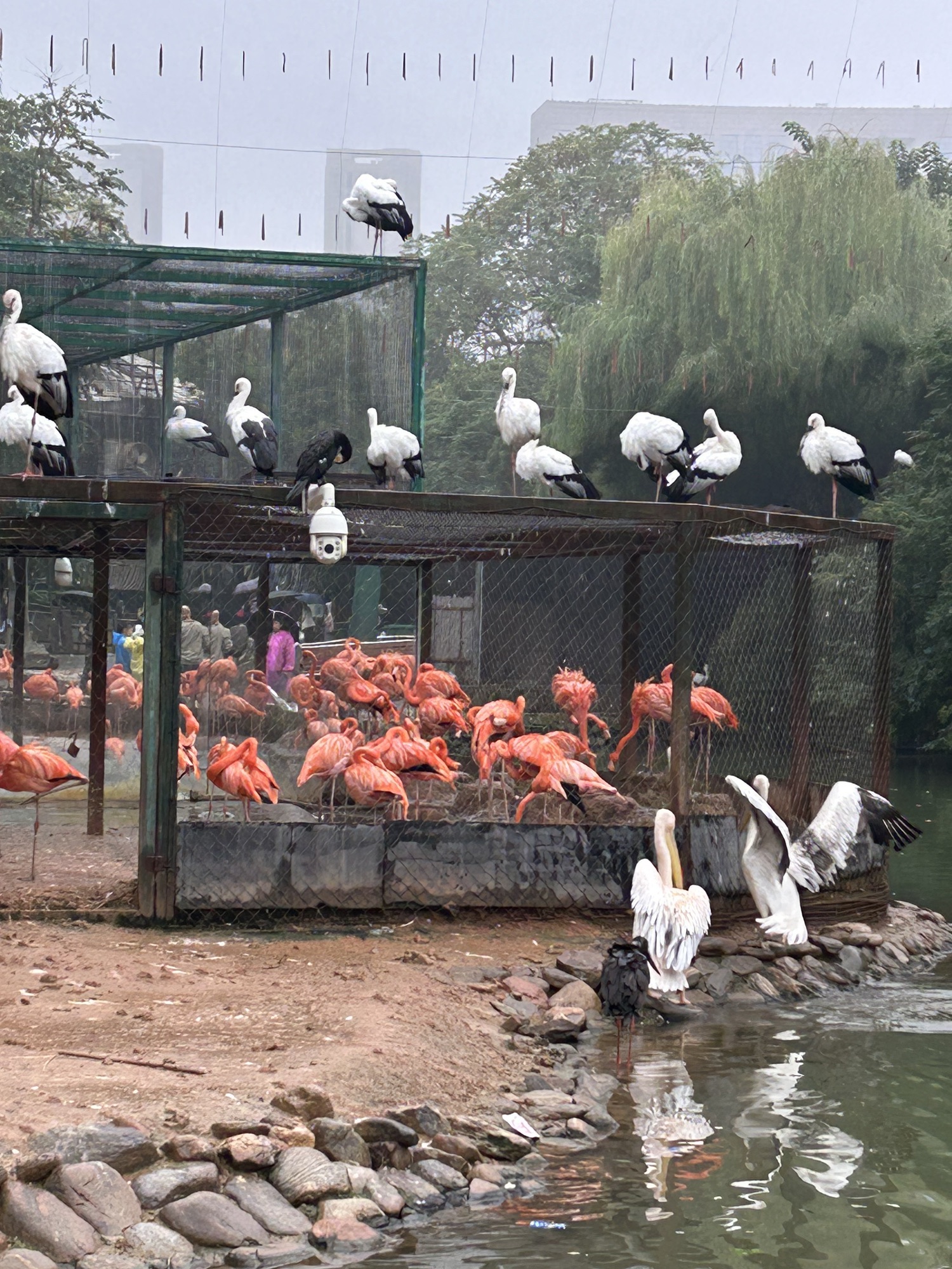 郑州市动物园旅行图片 2