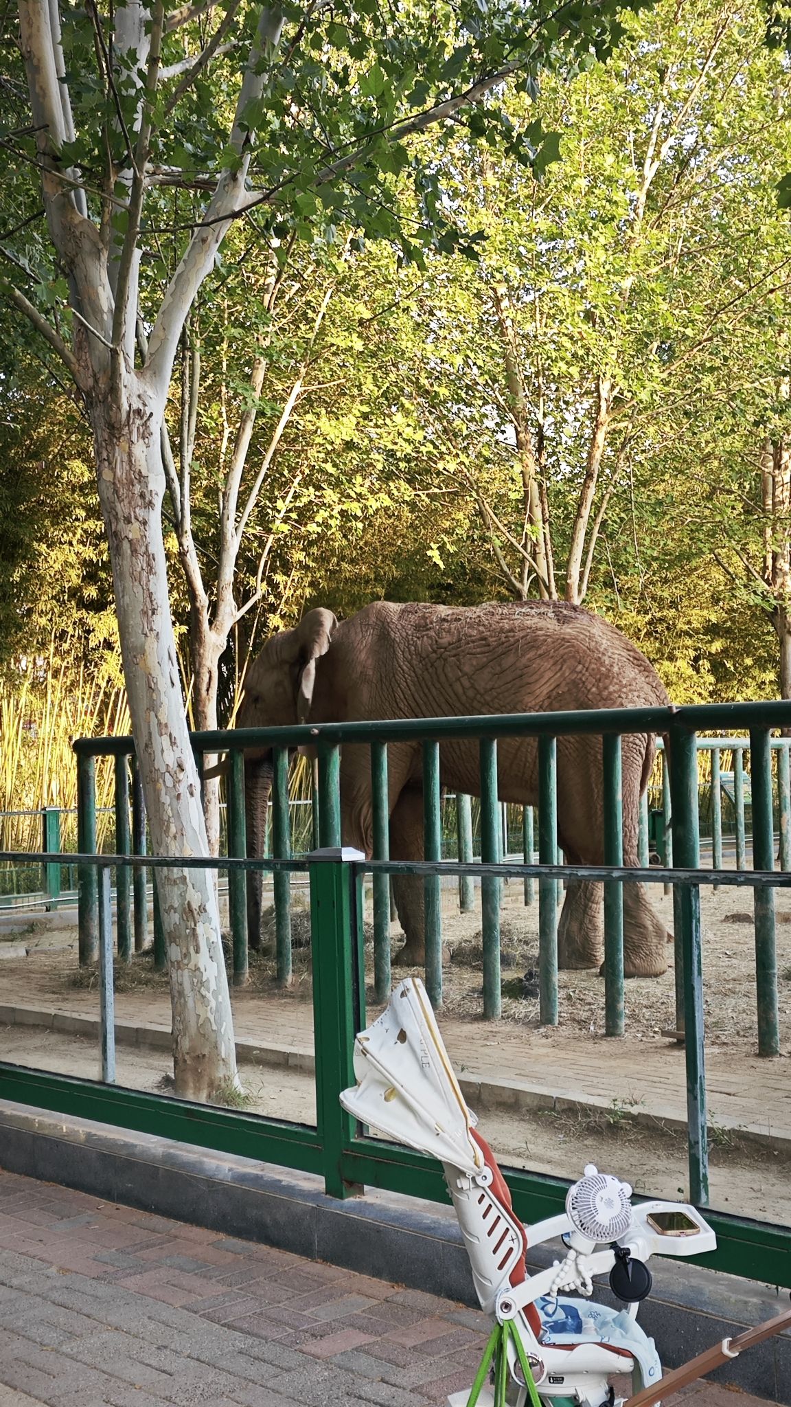 郑州市动物园旅行图片 2