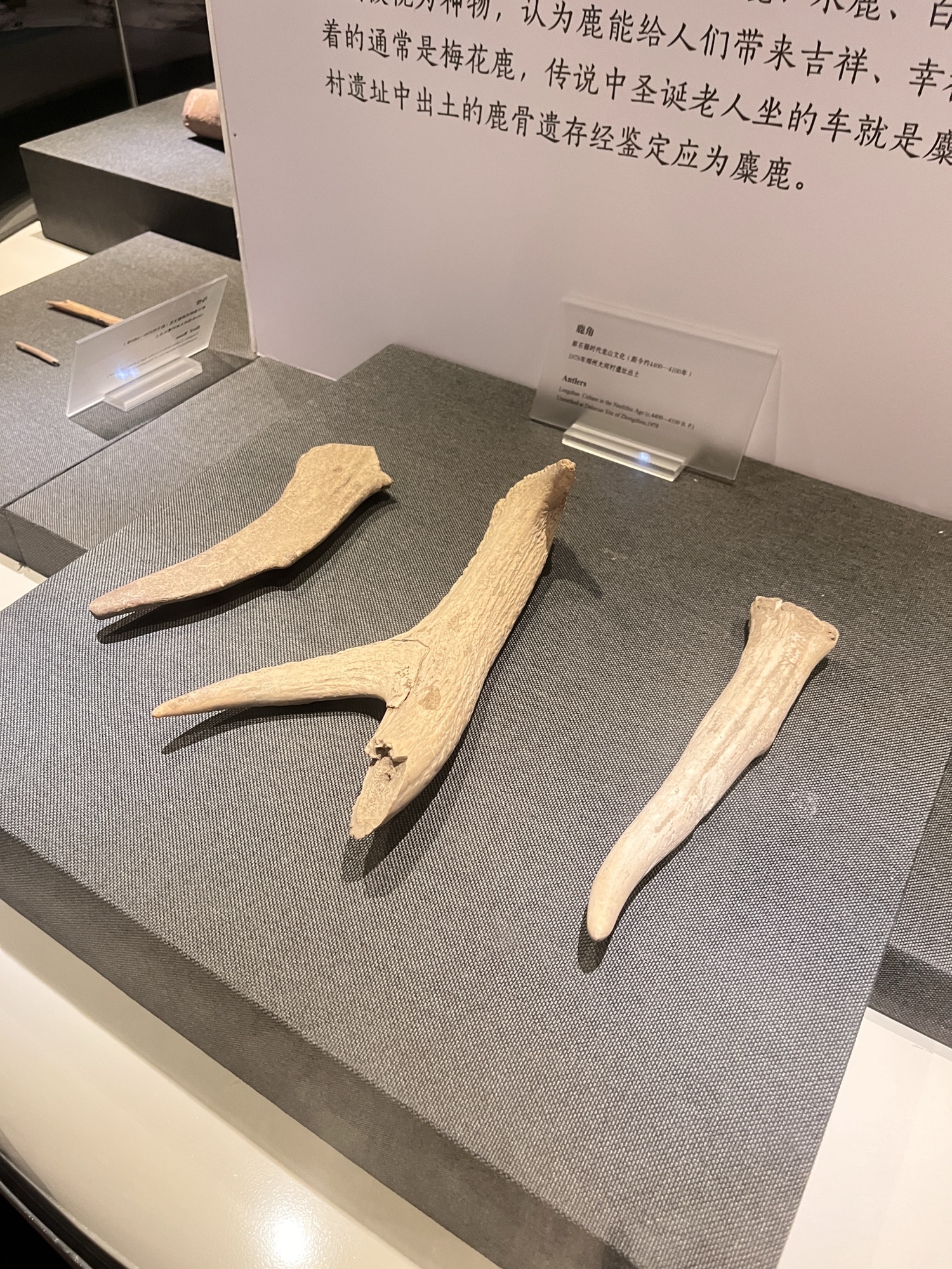 大河村国家考古遗址公园旅行图片 3