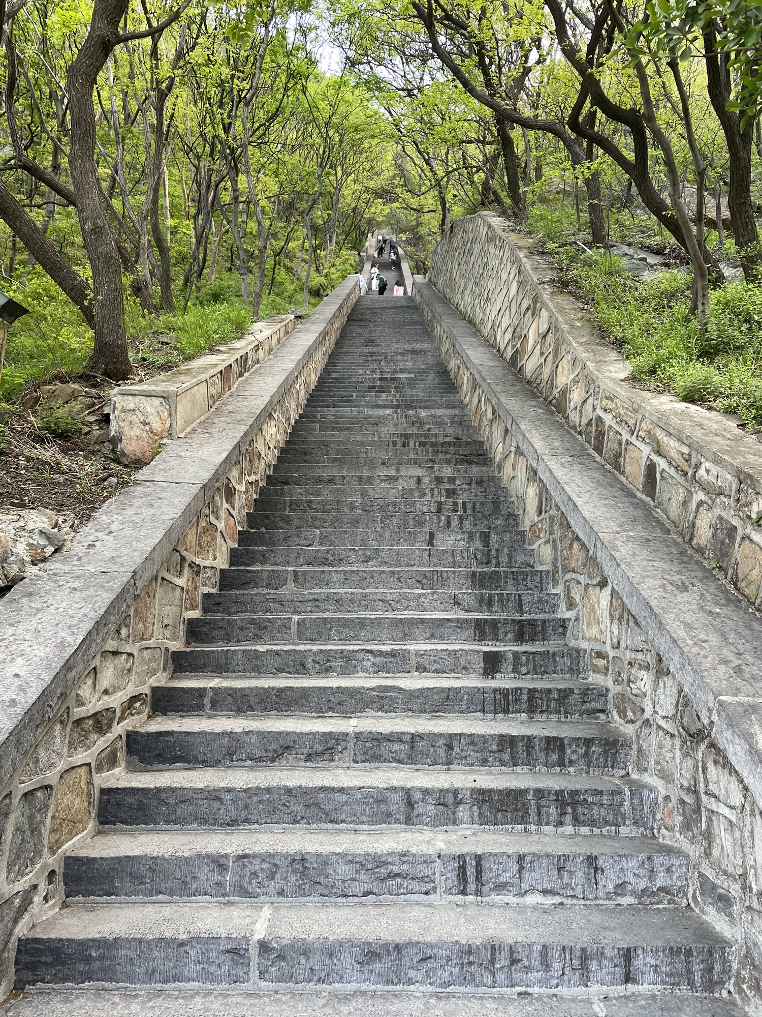 嵩山国家重点风景名胜区旅行图片 2
