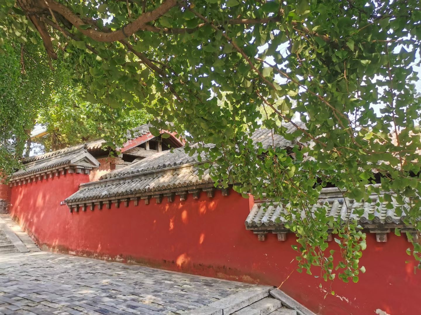 嵩山国家重点风景名胜区旅行图片 2