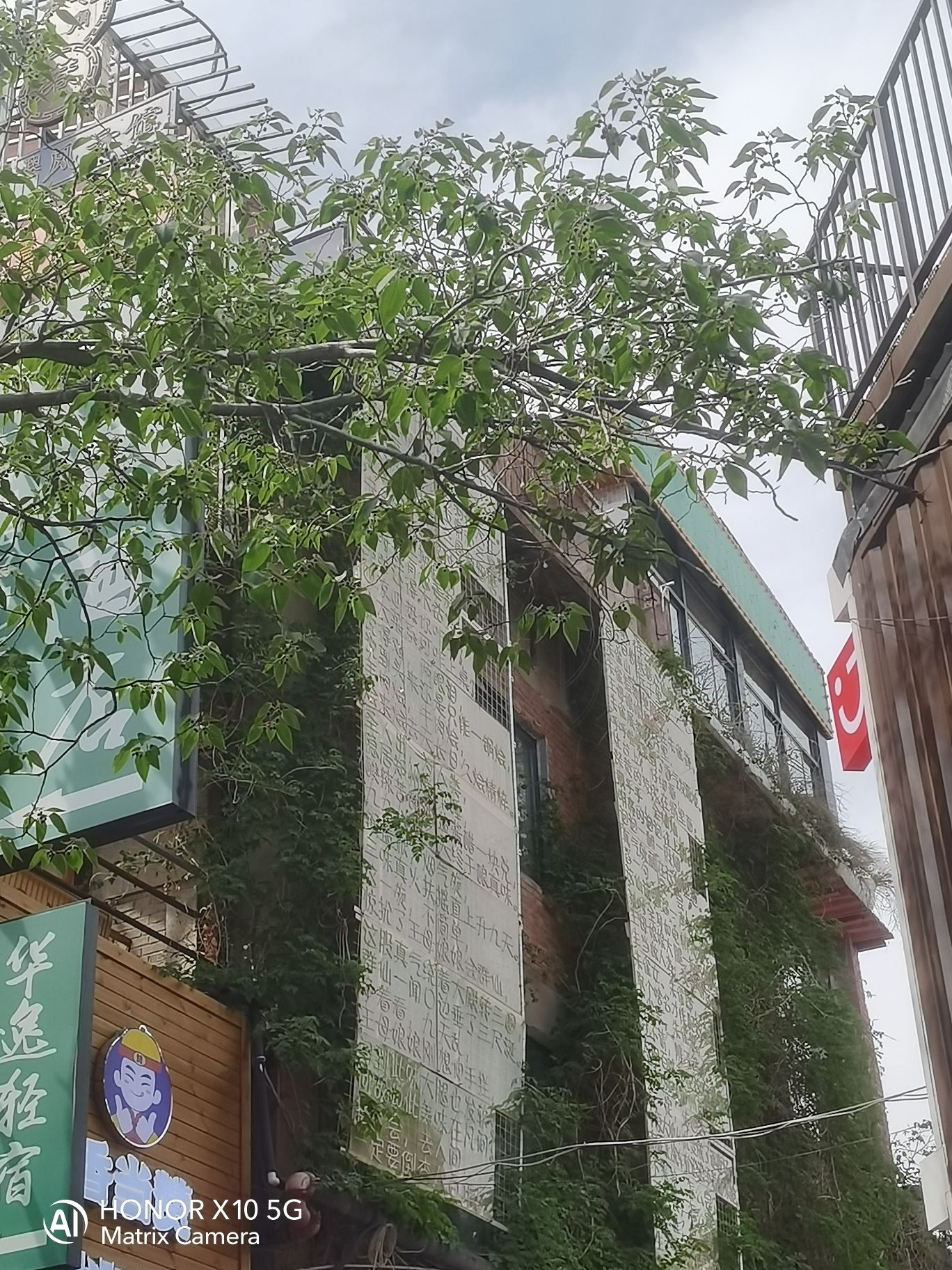 绿博园旅行图片