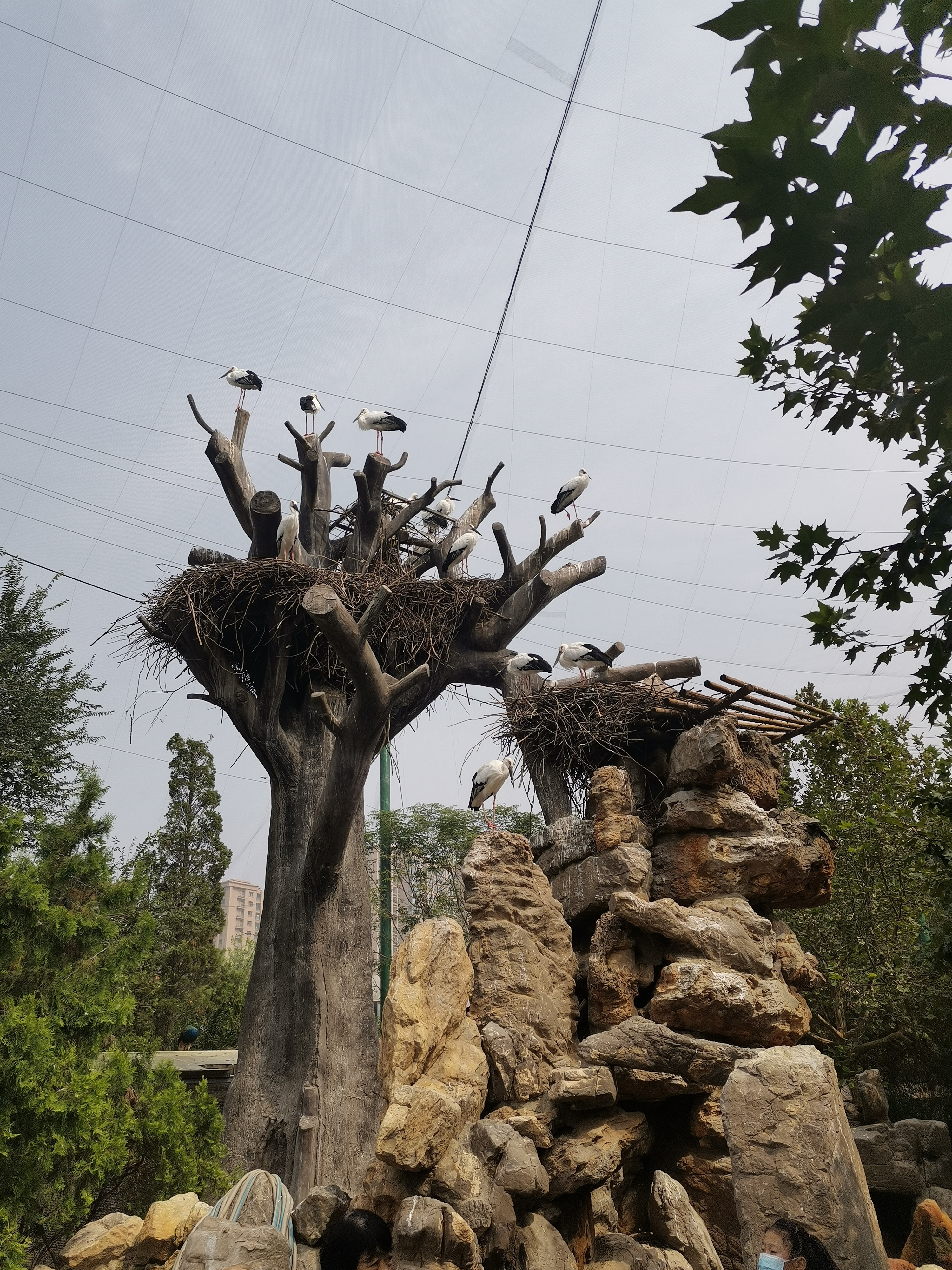 郊野公园旅行图片 2
