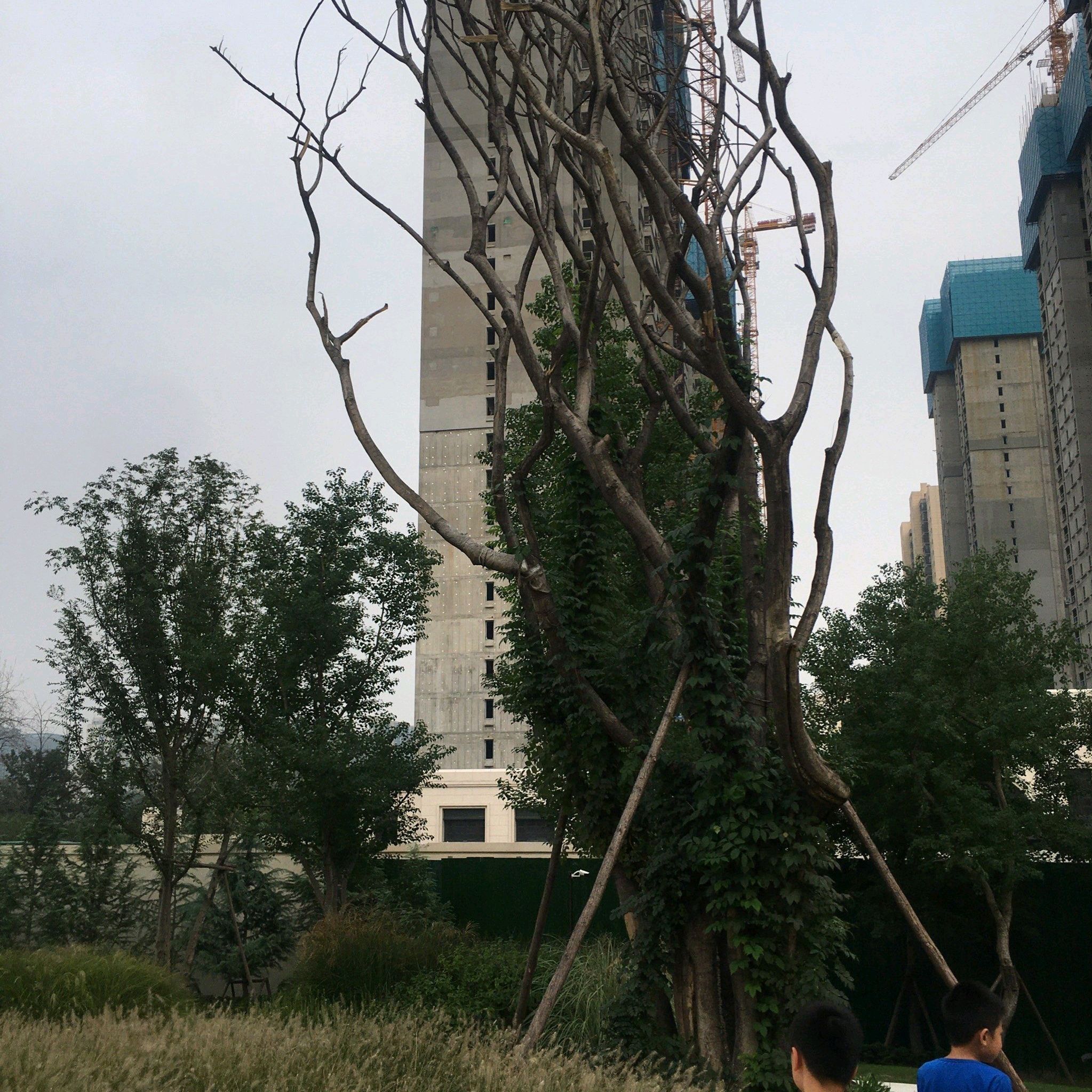 山河公园旅行图片 3