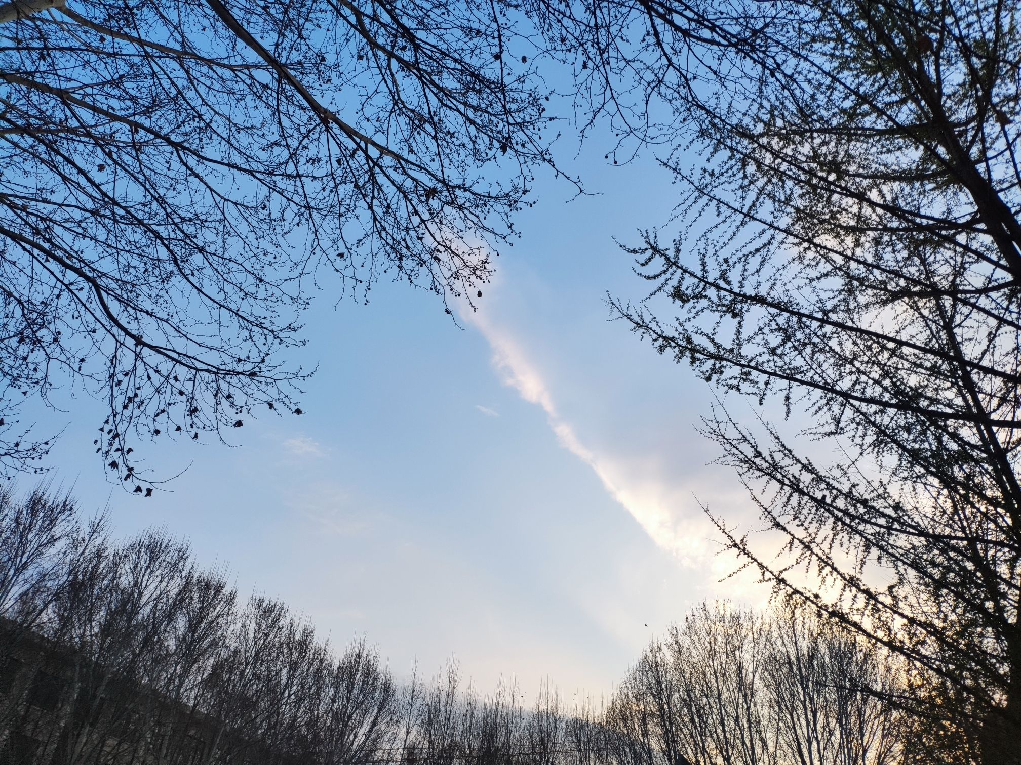 忆江南旅游度假区旅行图片 2