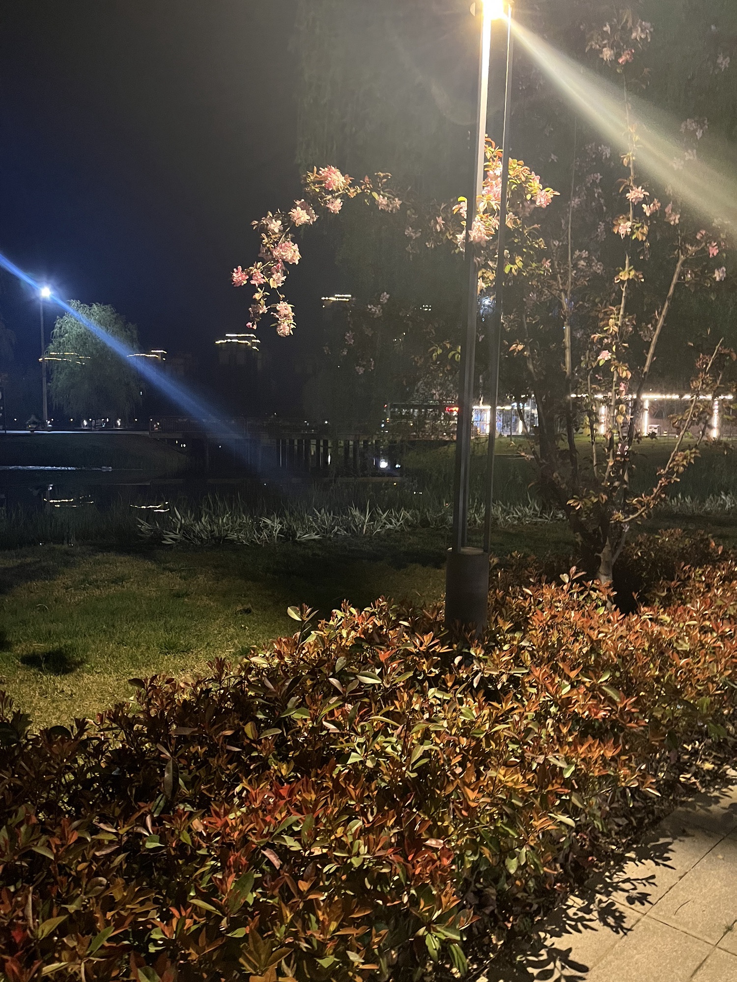 忆江南旅游度假区旅行图片 3