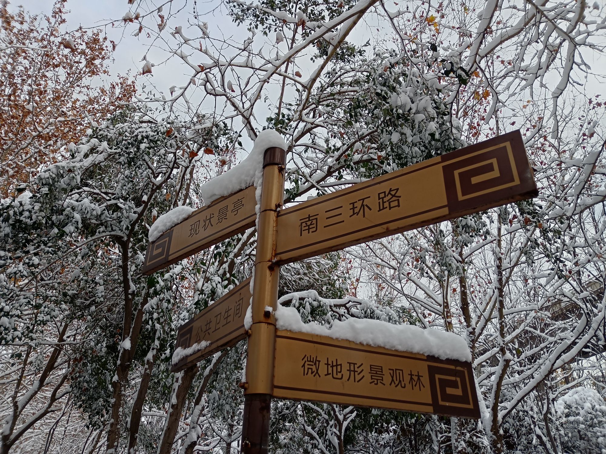 天和园旅行图片 1
