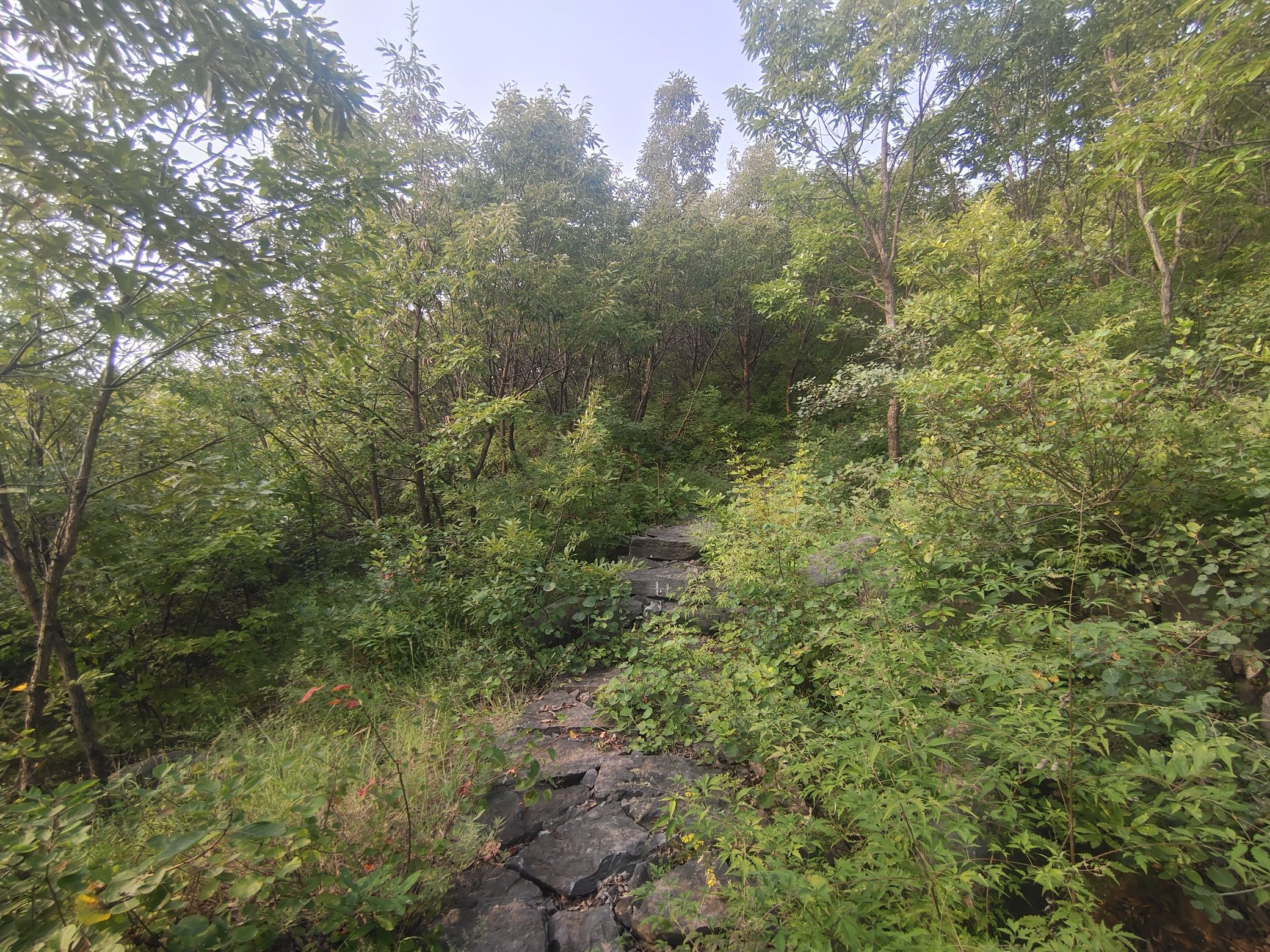 杨树沟风景区旅行图片 2