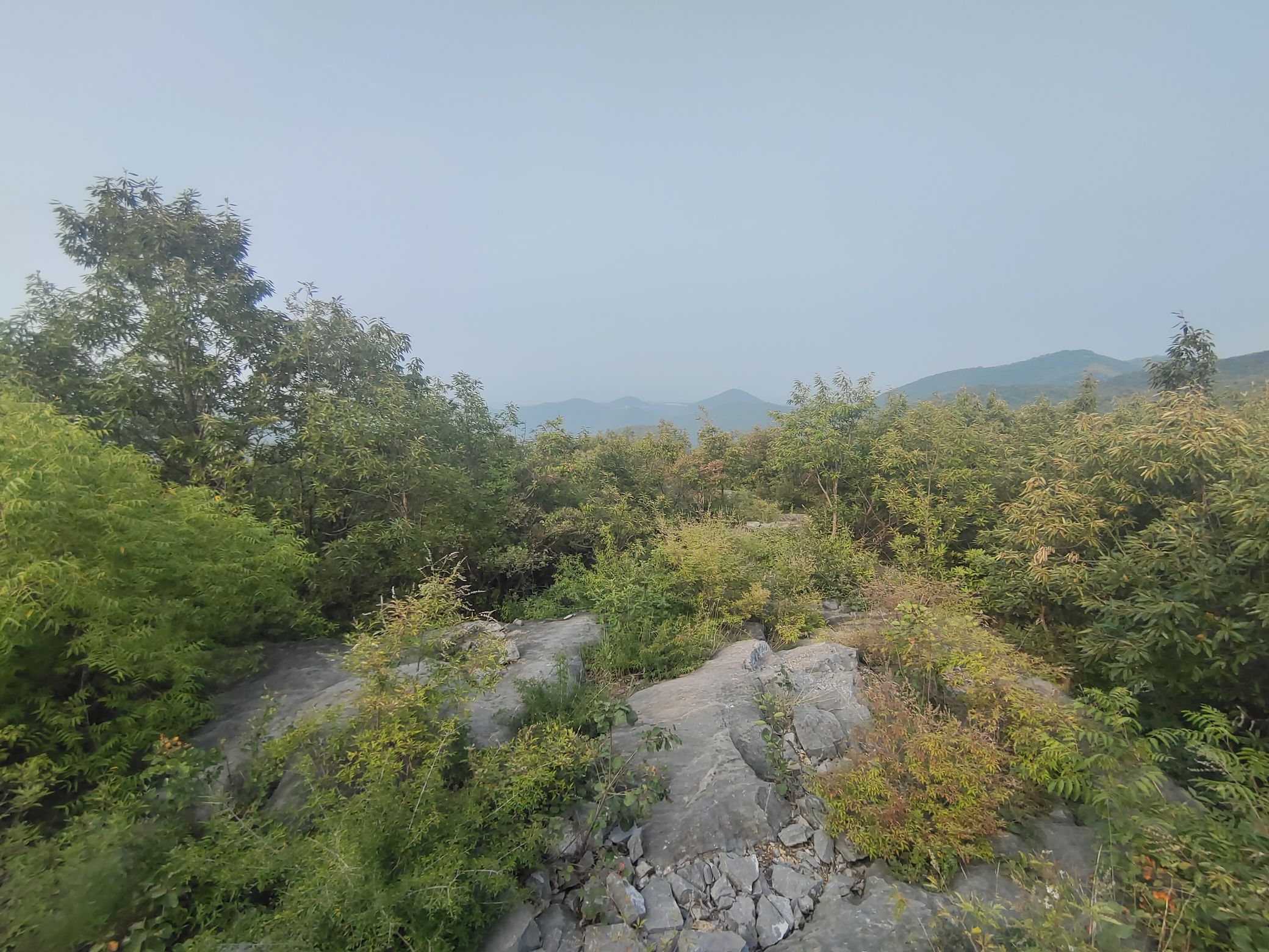 杨树沟风景区旅行图片 3