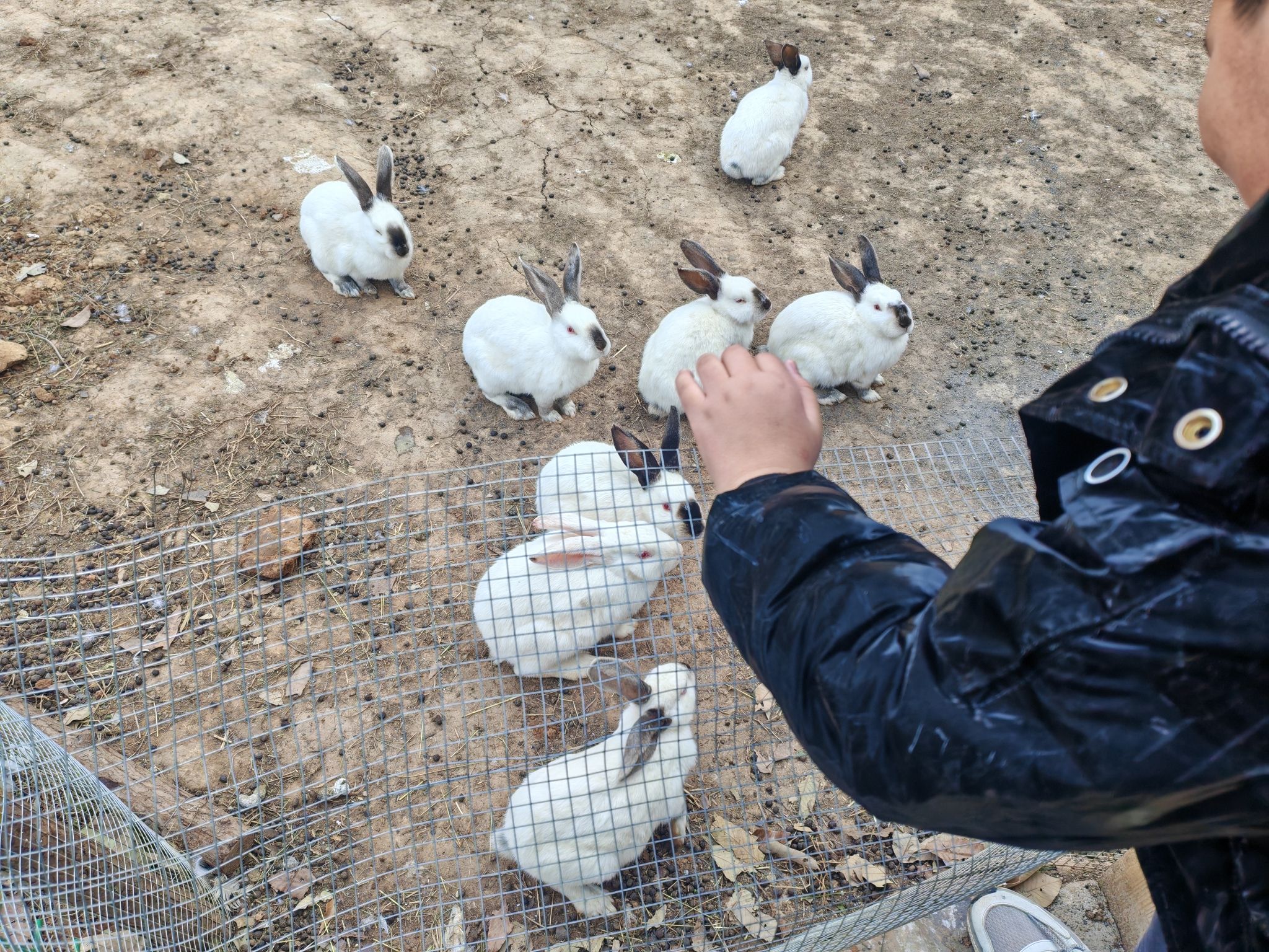 杨树沟风景区旅行图片 1