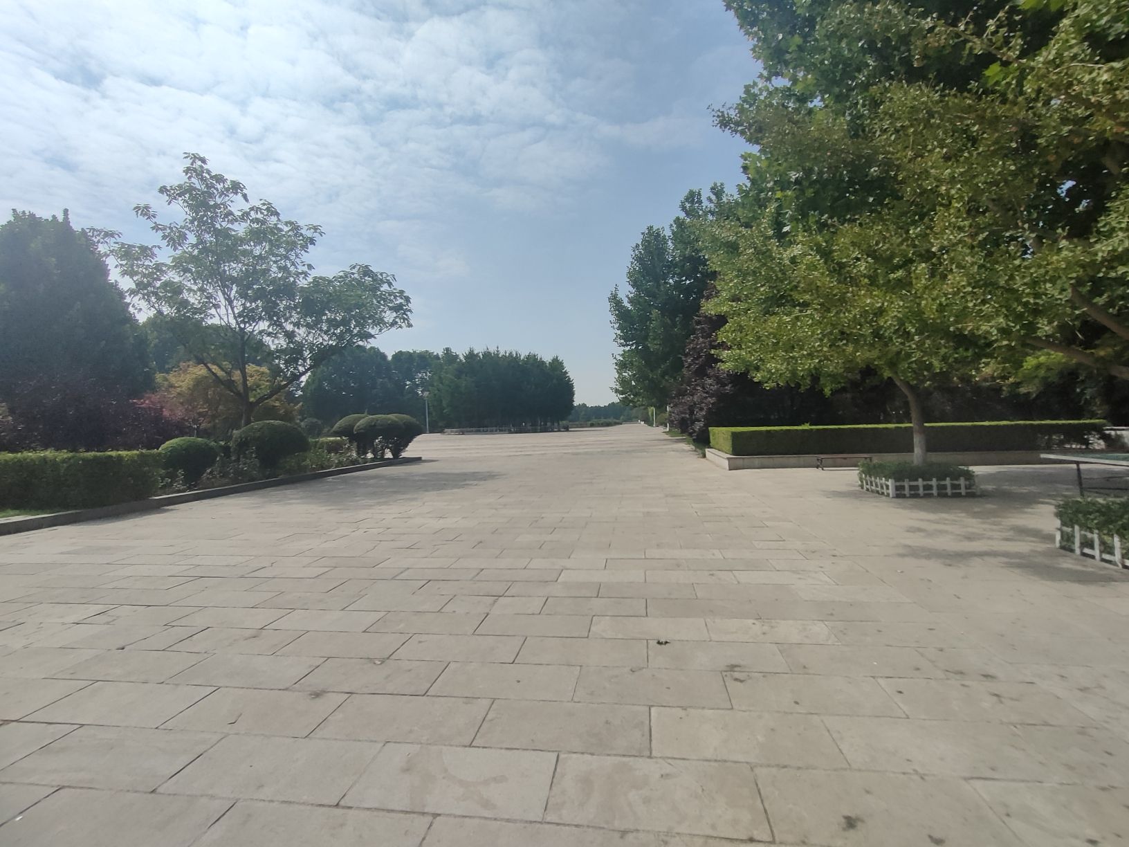 荥阳京襄城遗址生态园旅行图片 3