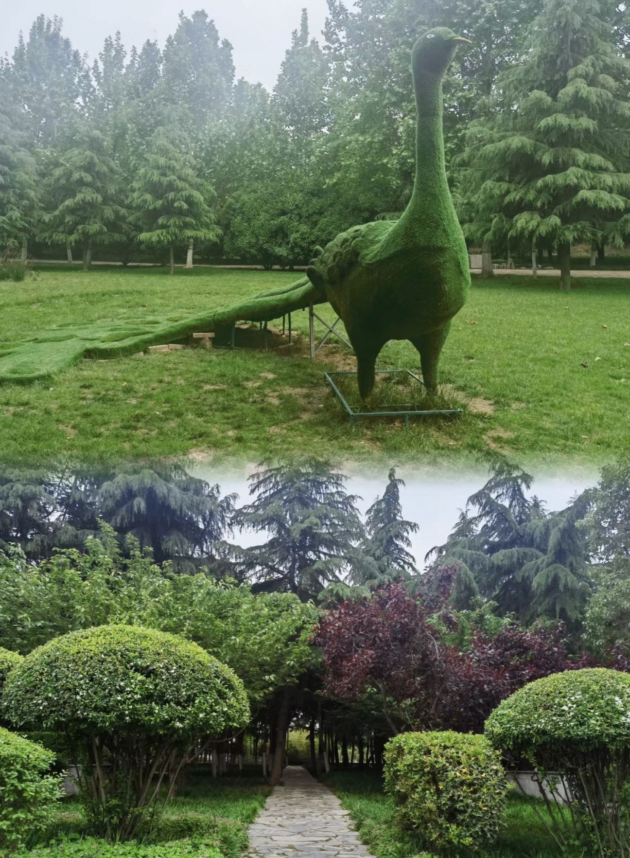 荥阳京襄城遗址生态园旅行图片 2