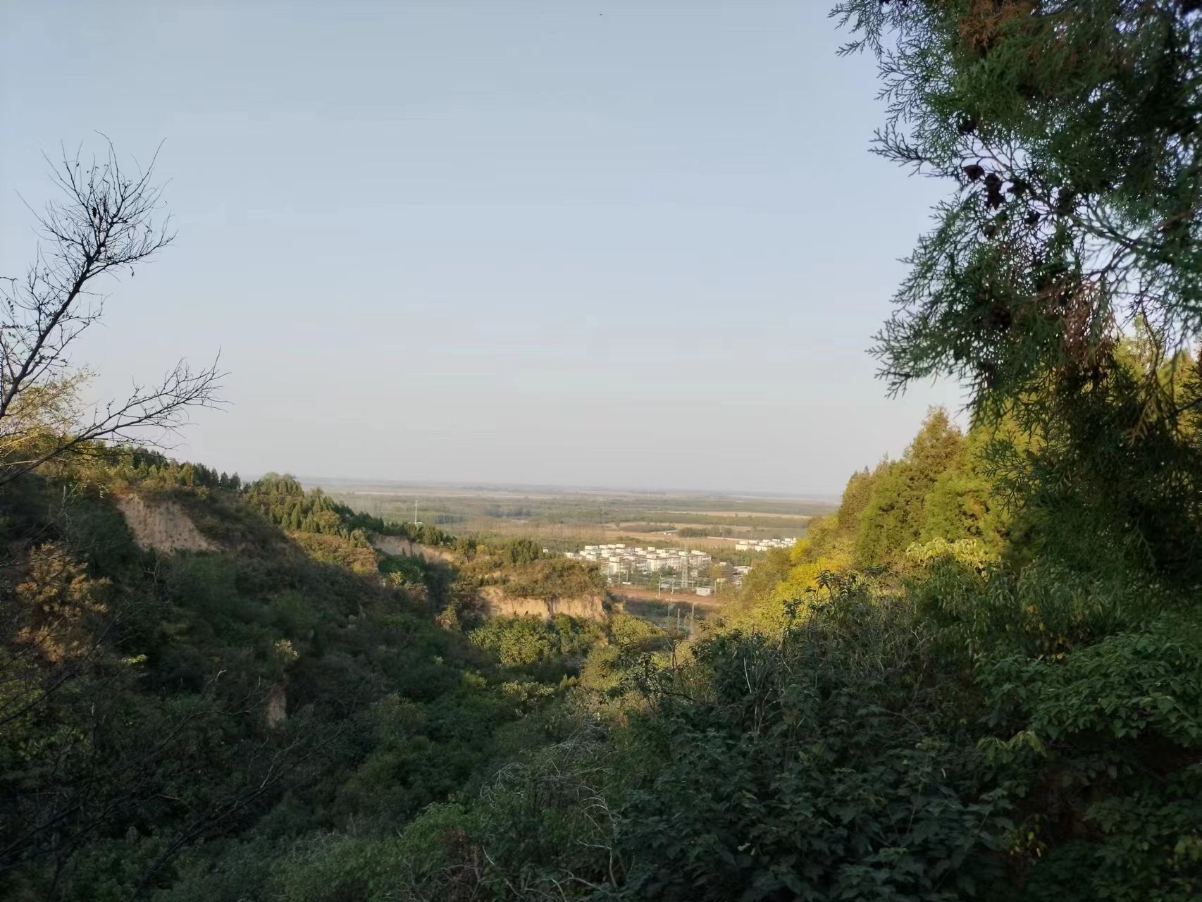 郑州邙山生态园区旅行图片 3