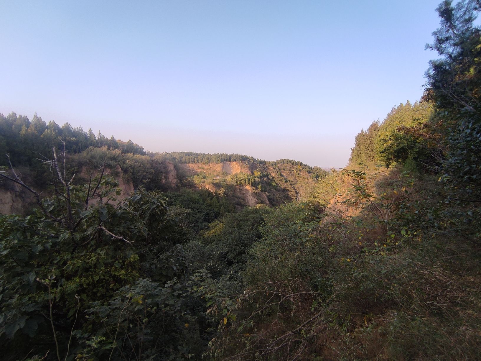 郑州邙山生态园区旅行图片 1